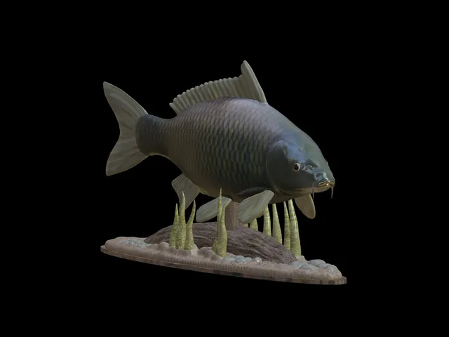Common Carp Statue with Base – Design 1