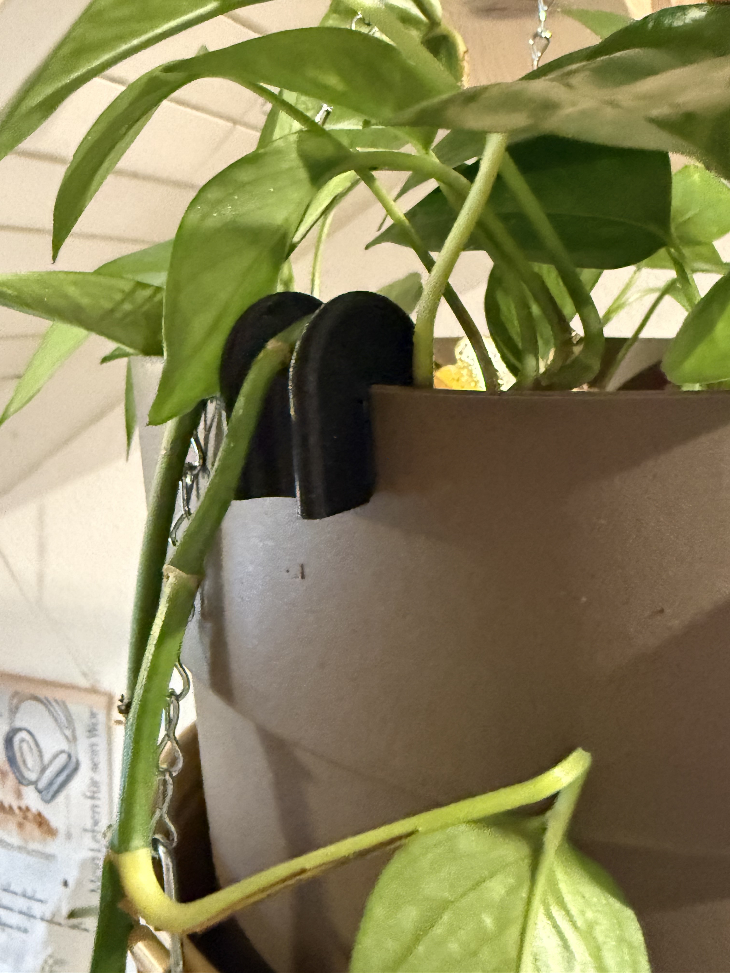Plant Pot Kink Protector