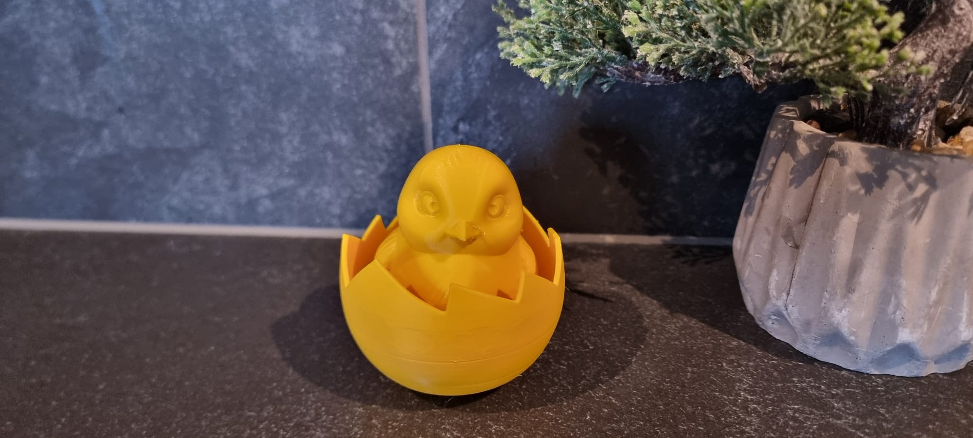 Chick in eggshell