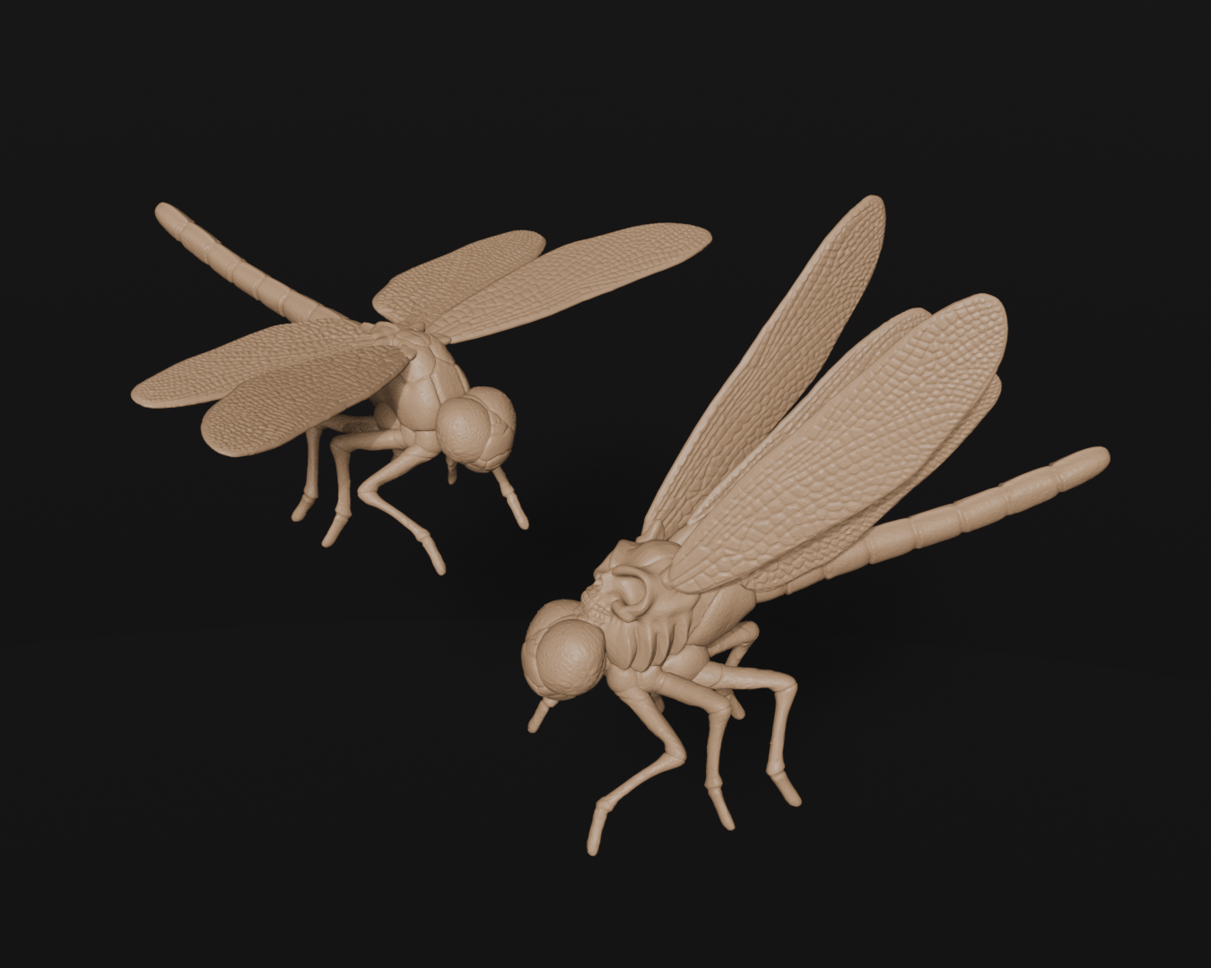 Winged Horrors – Dragonfly & Skull-Back Dragonfly