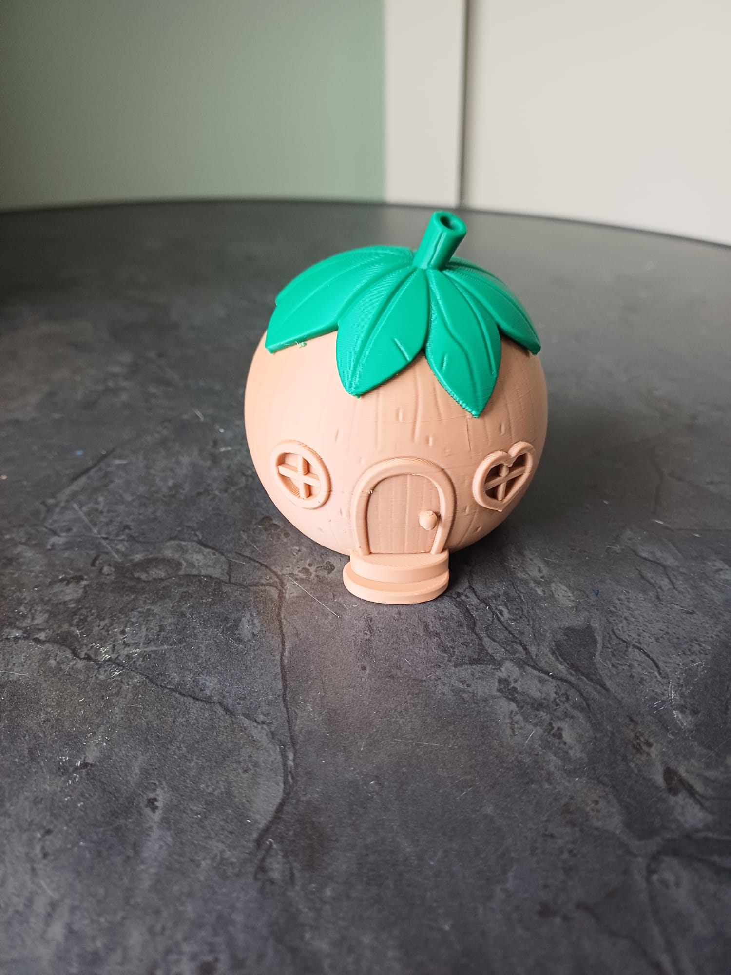 Tropical Coconut House