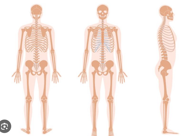Skeleton action figure