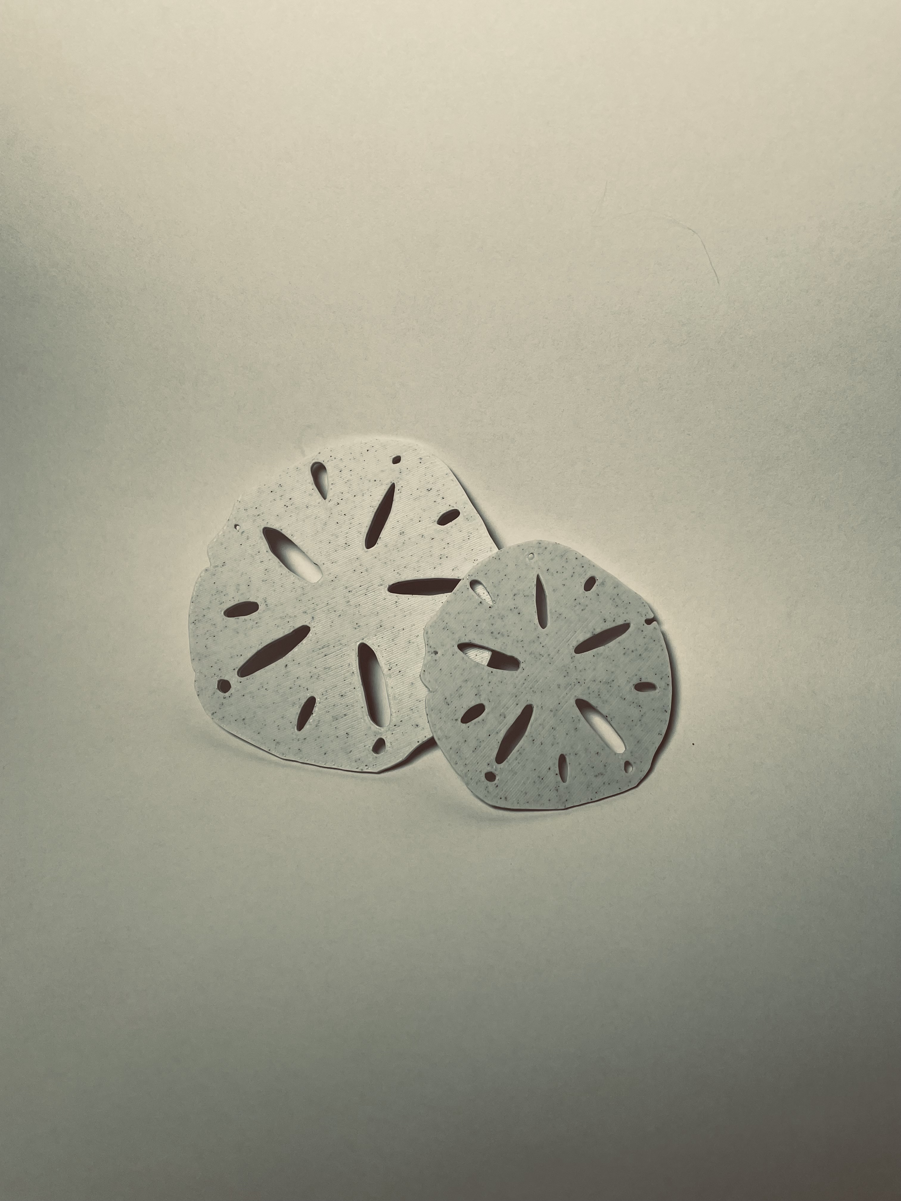 Sand Dollar — miniatura 3
