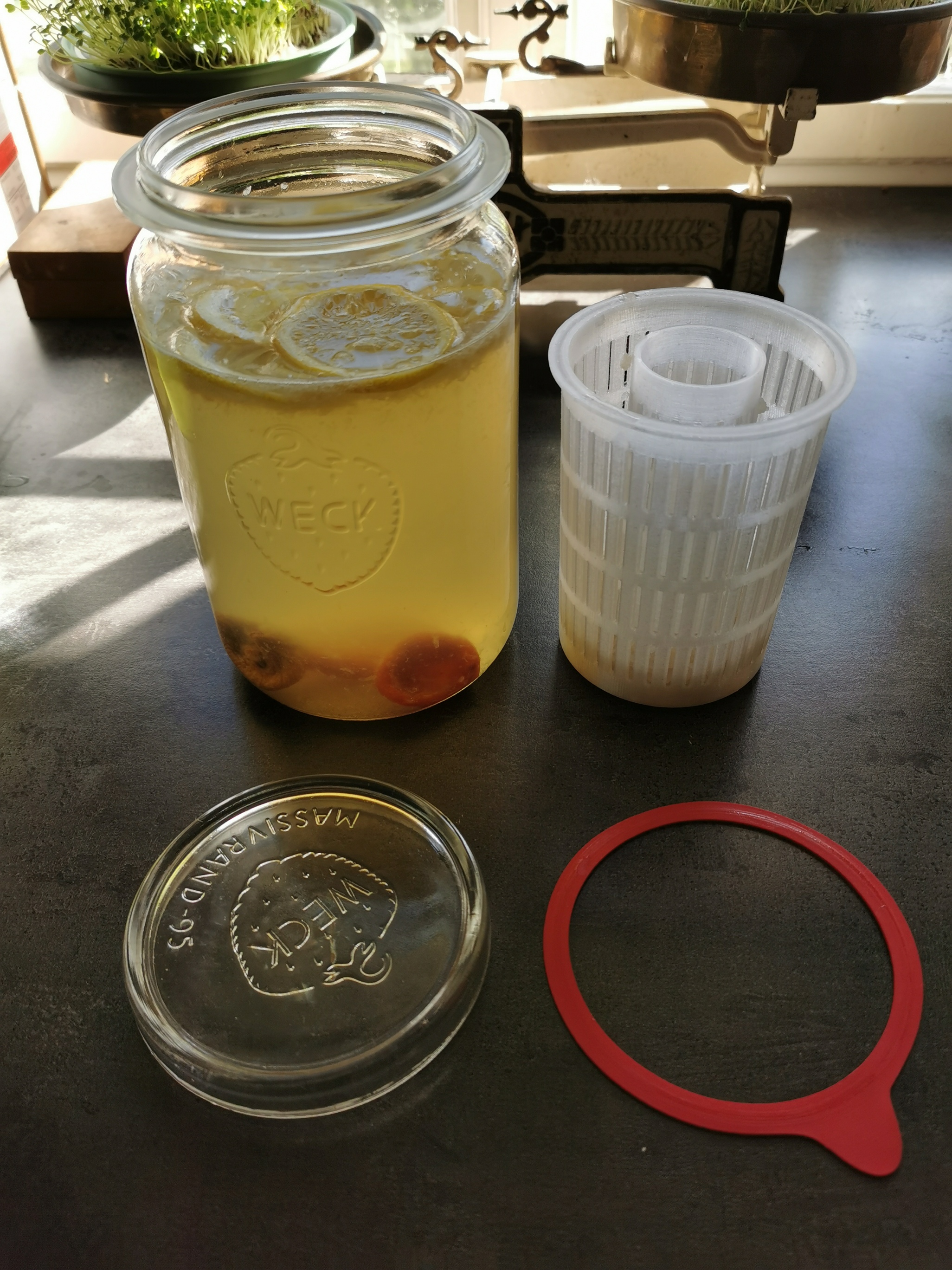Water Kefir Strainer Insert for Weck-Jars with Opening "Massivrand-95" (> 1.000 ml )