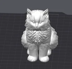 kitty cat cat