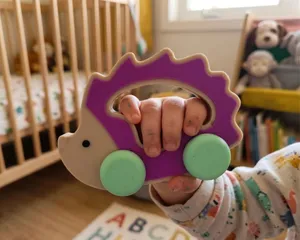 Rolling Hedgehog Sensory Rattle