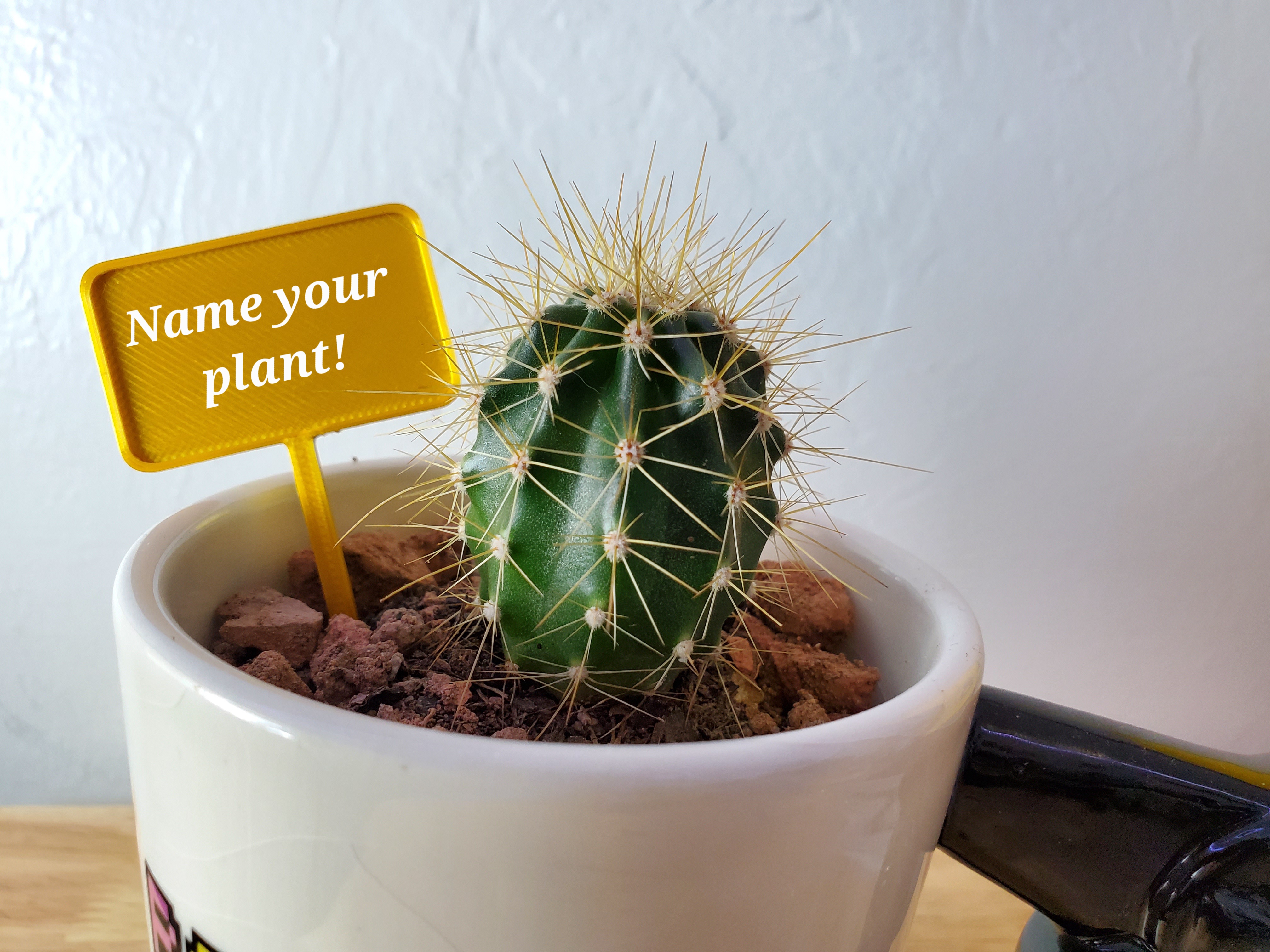 Small Sign for Naming or Reminding for Plants or Other Notes Multipurpose