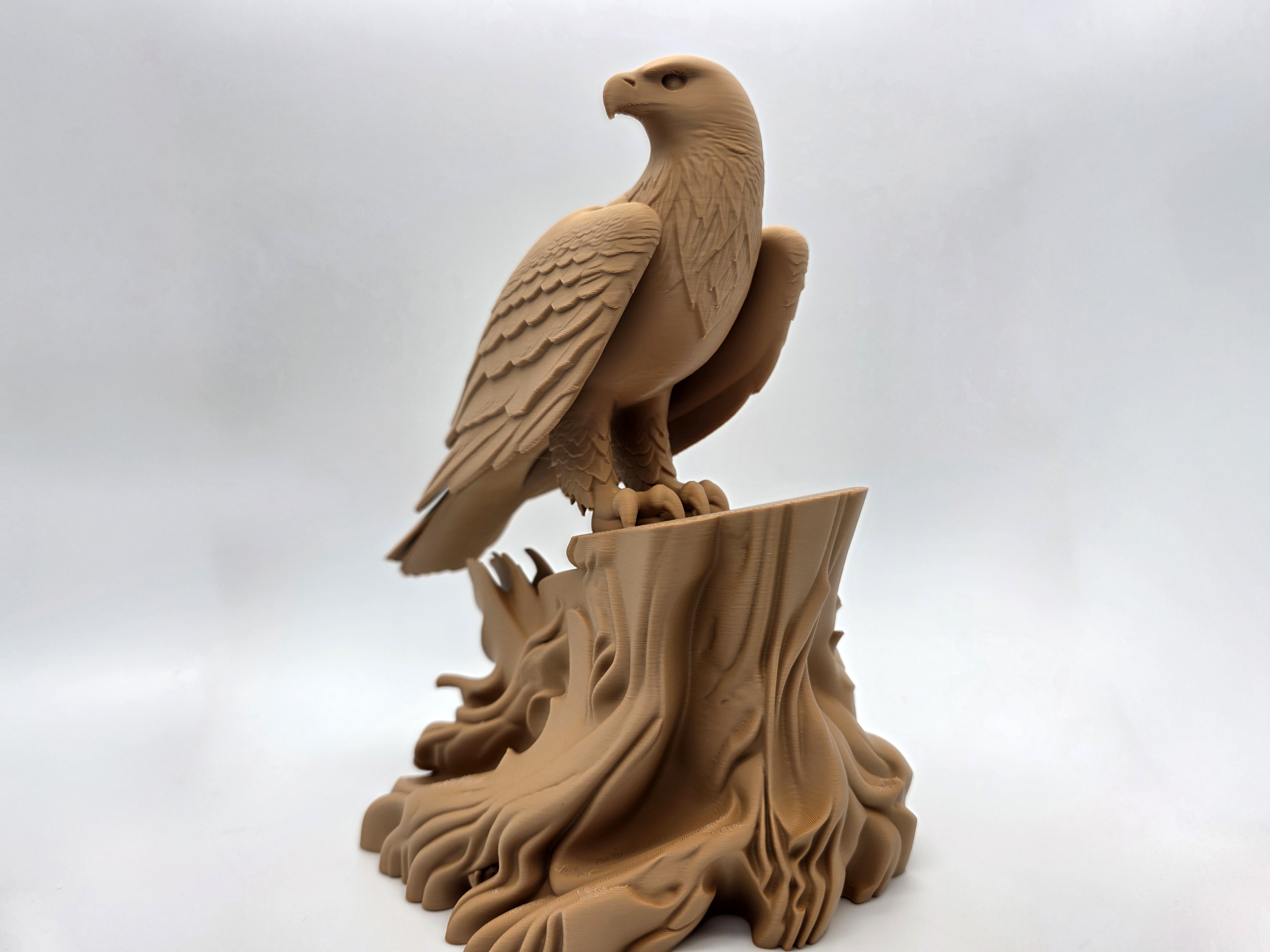 Coastal Eagle