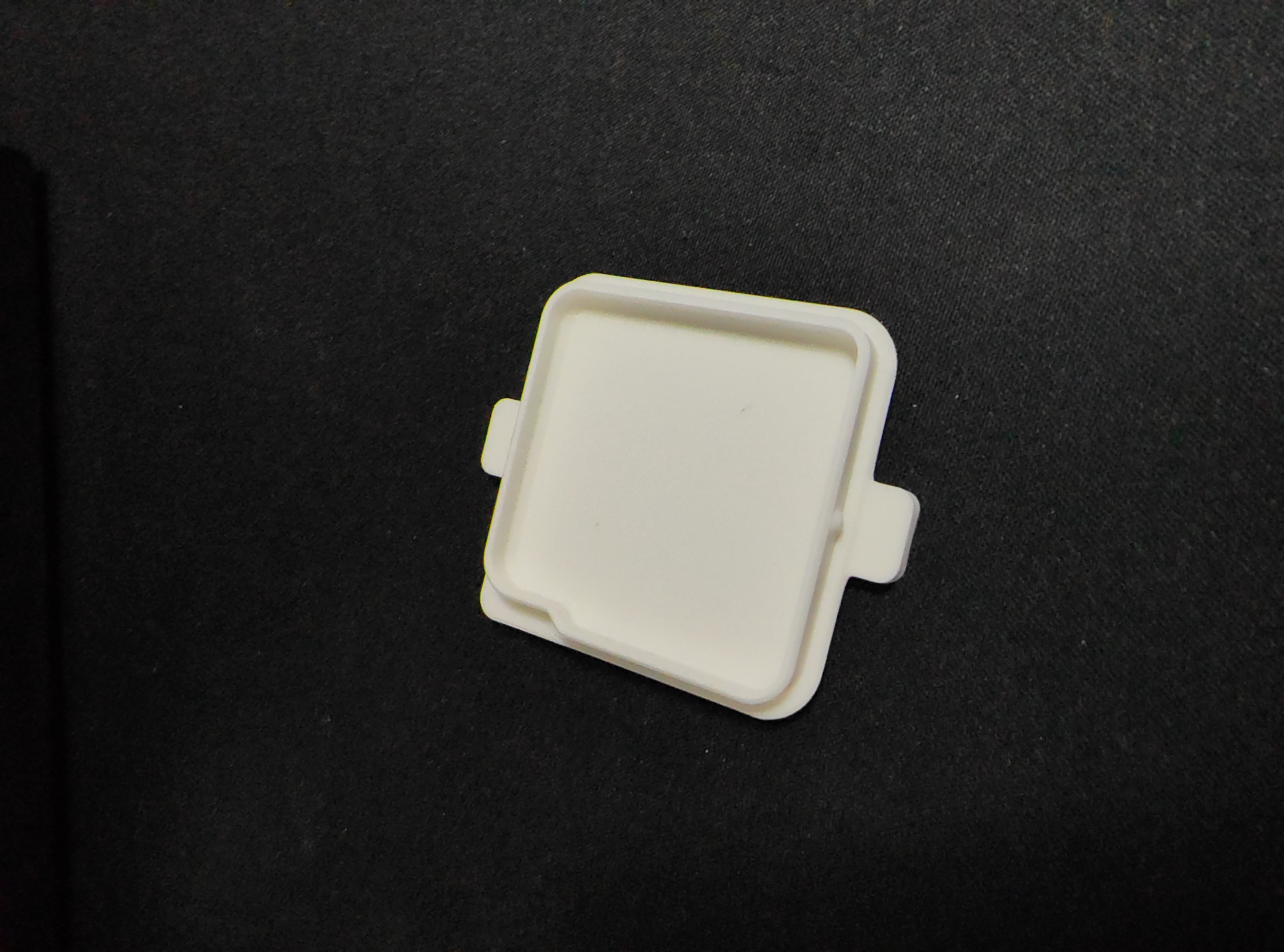 RAK19003 simple case