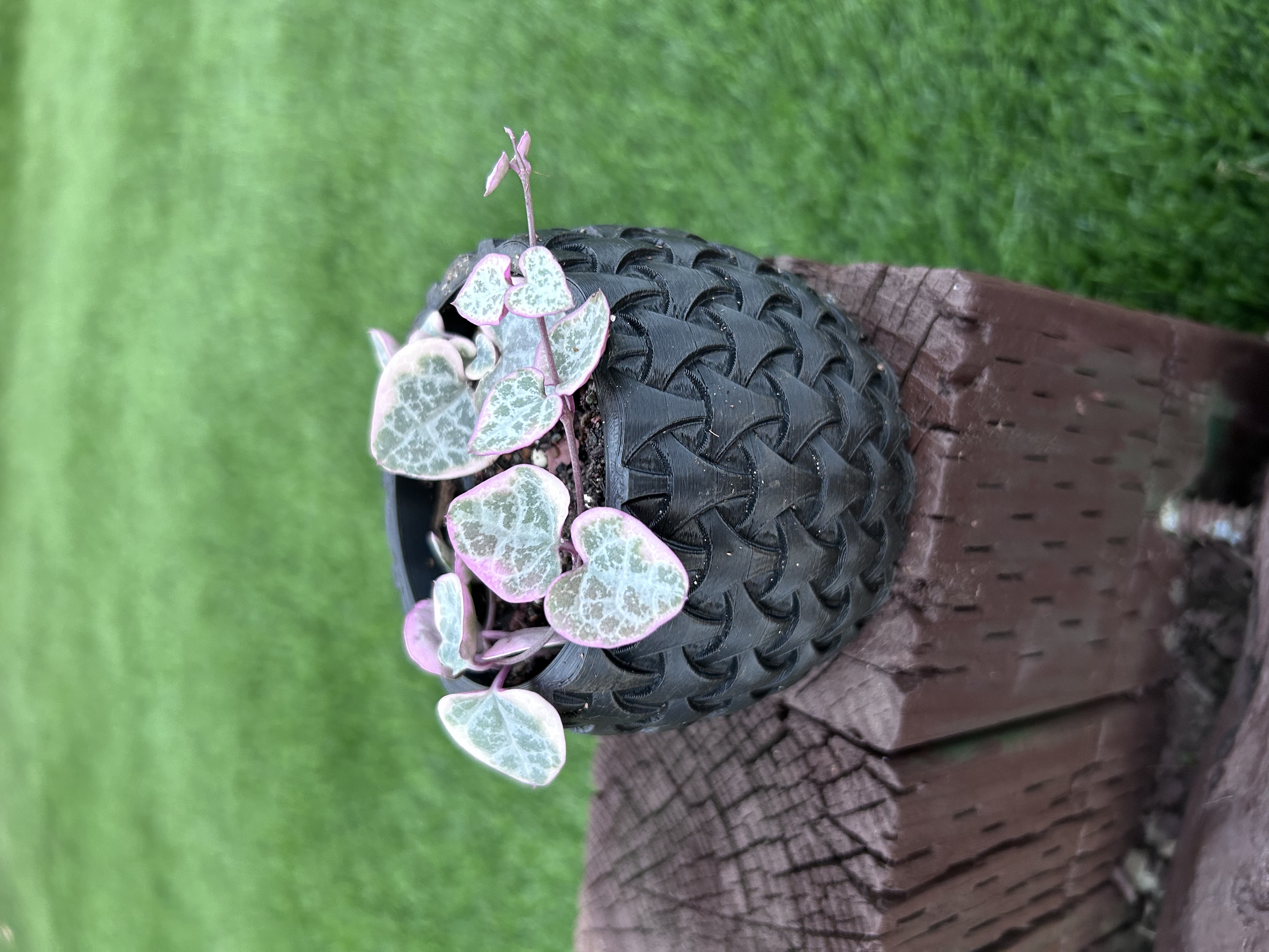 Chained Planter/pot