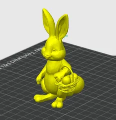Easter Bunny Rabbit
