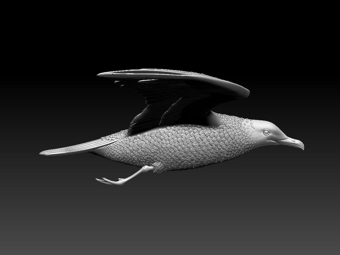seagull — miniatura 12