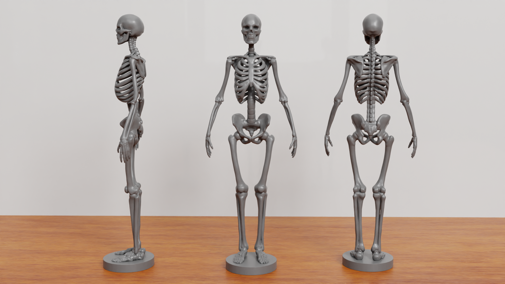 skeleton