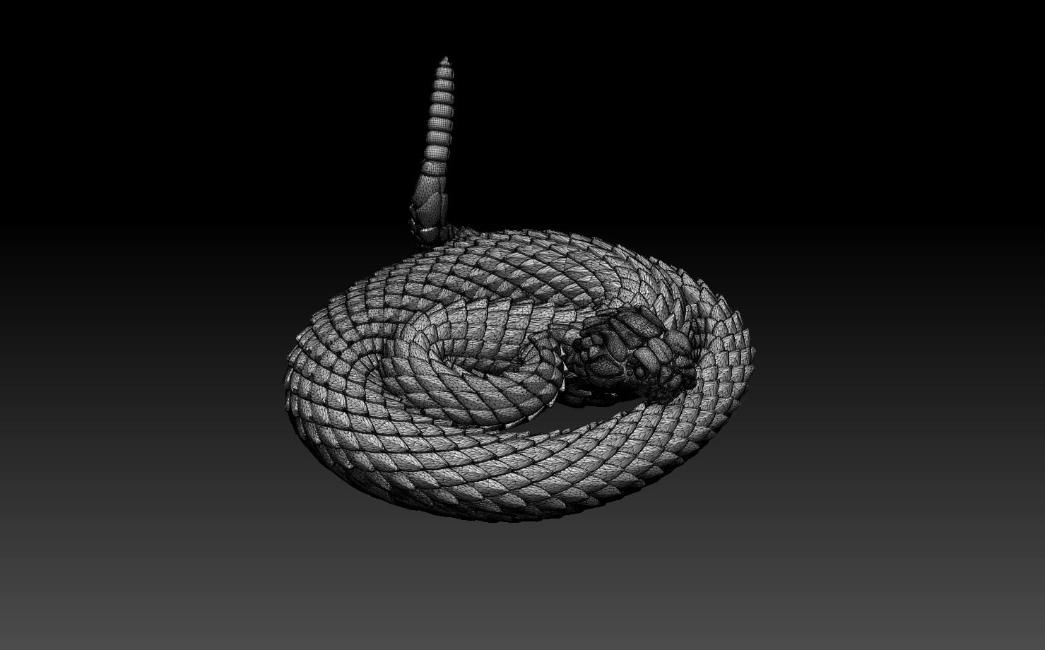 snakes — miniatura 22