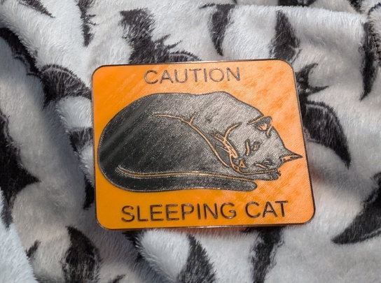 Sleeping Cat Sign