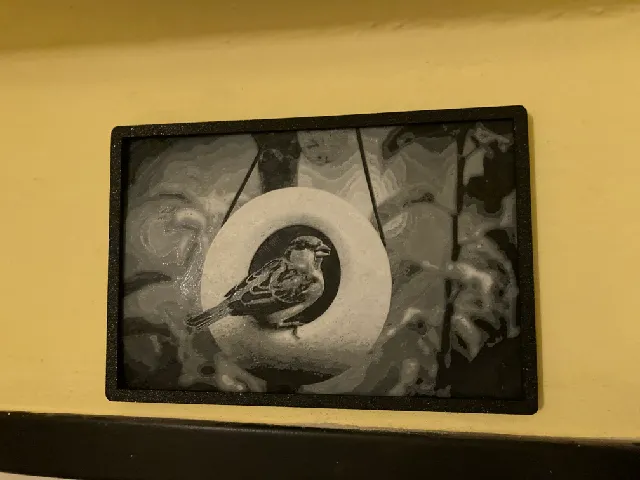Bird in feeder picture - HueForge