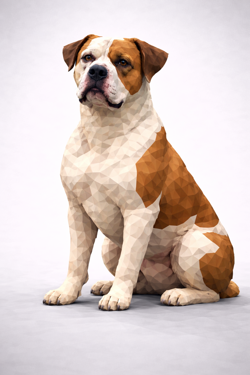 American Bulldog dog Low Poly