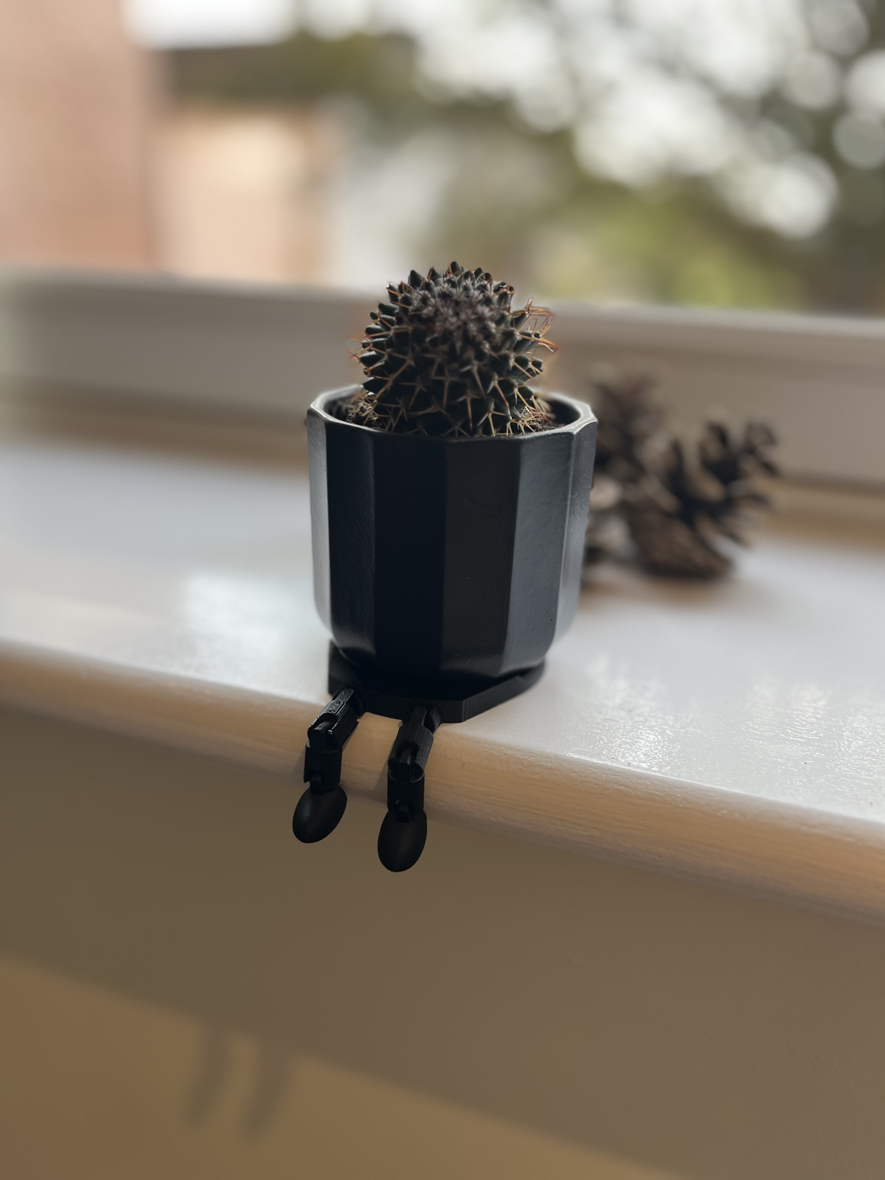 Mini Plant Coaster with Legs