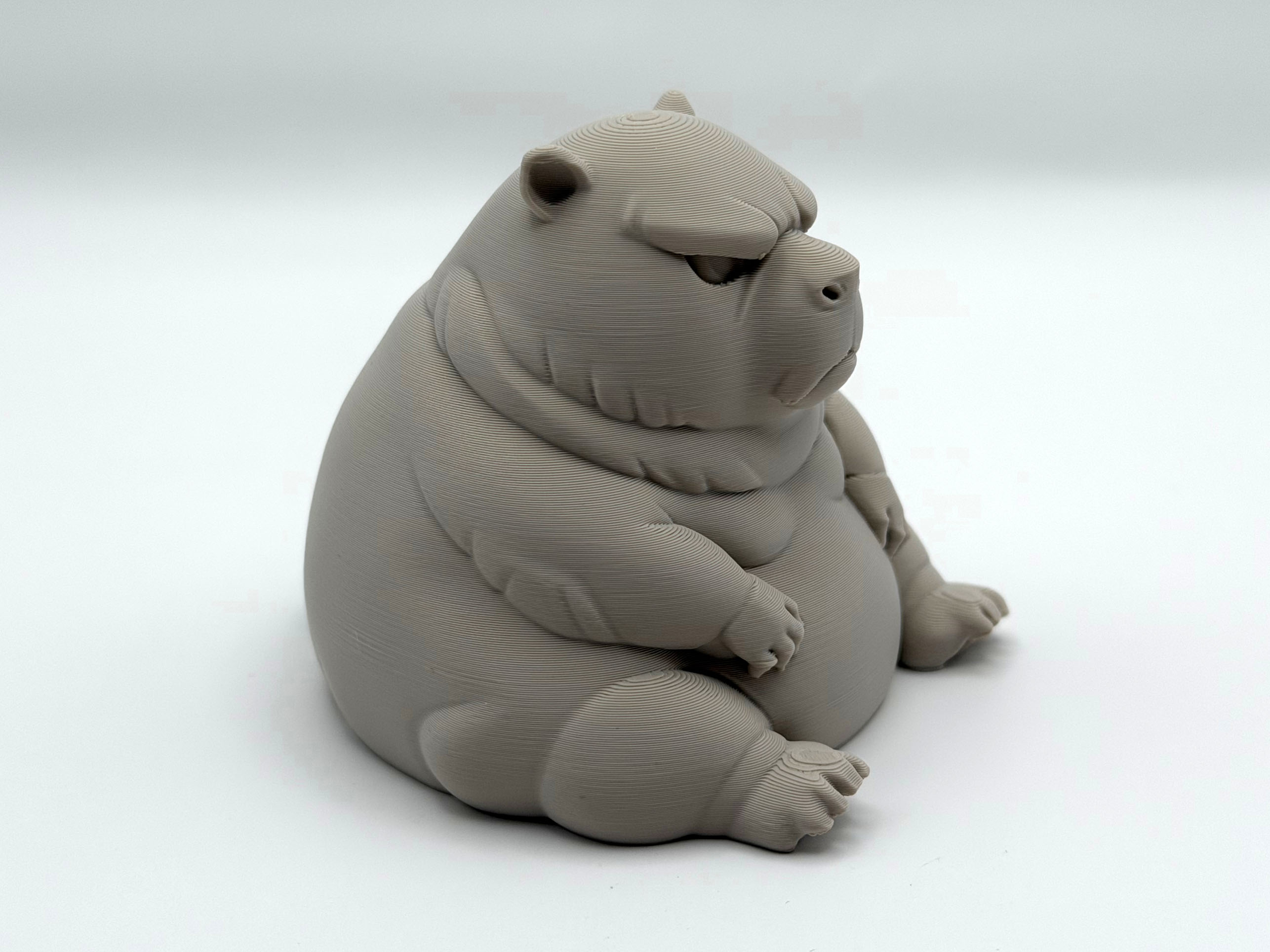 Chonky Grumpy Capybara — miniatura 3