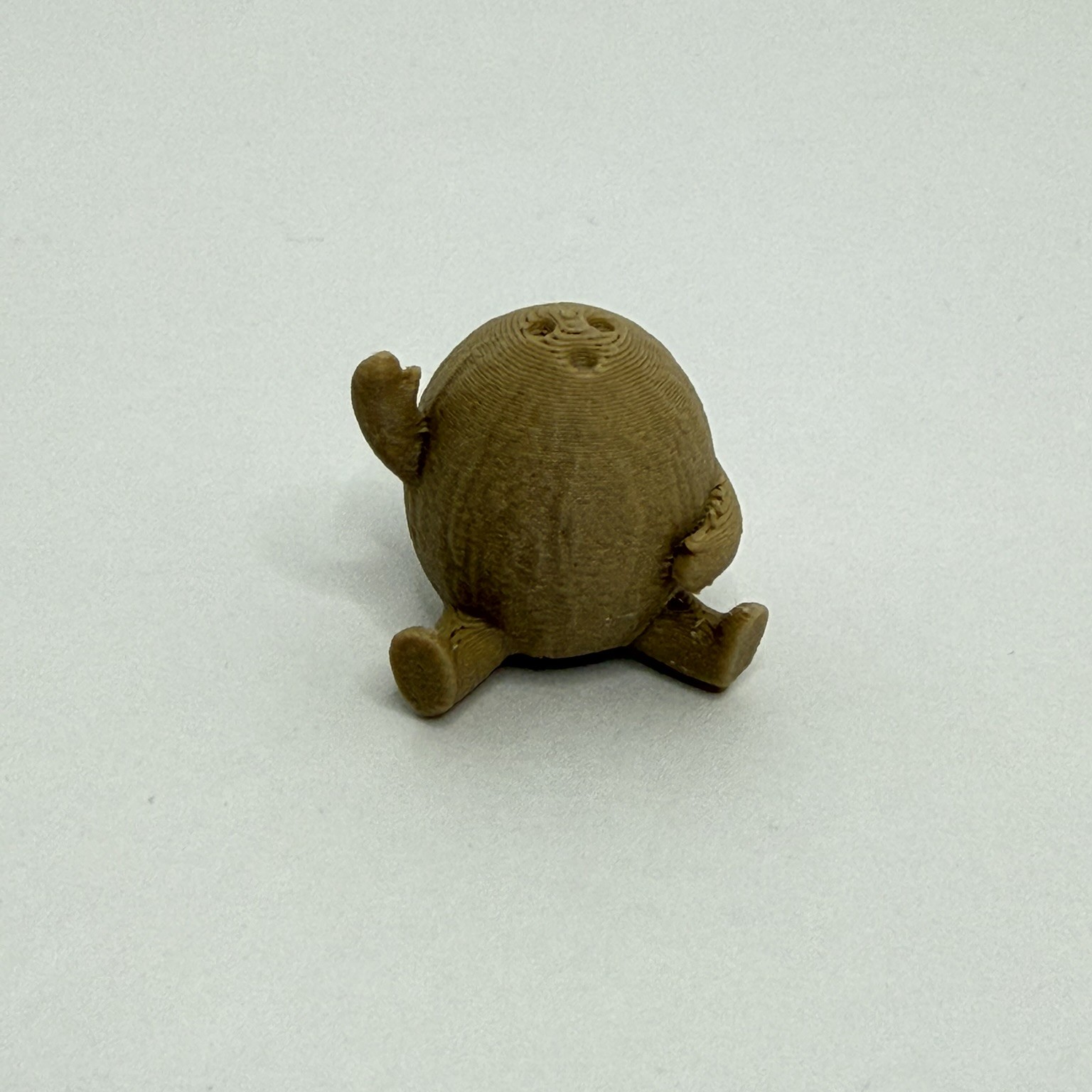Cozy Mini Coconut Buddy
