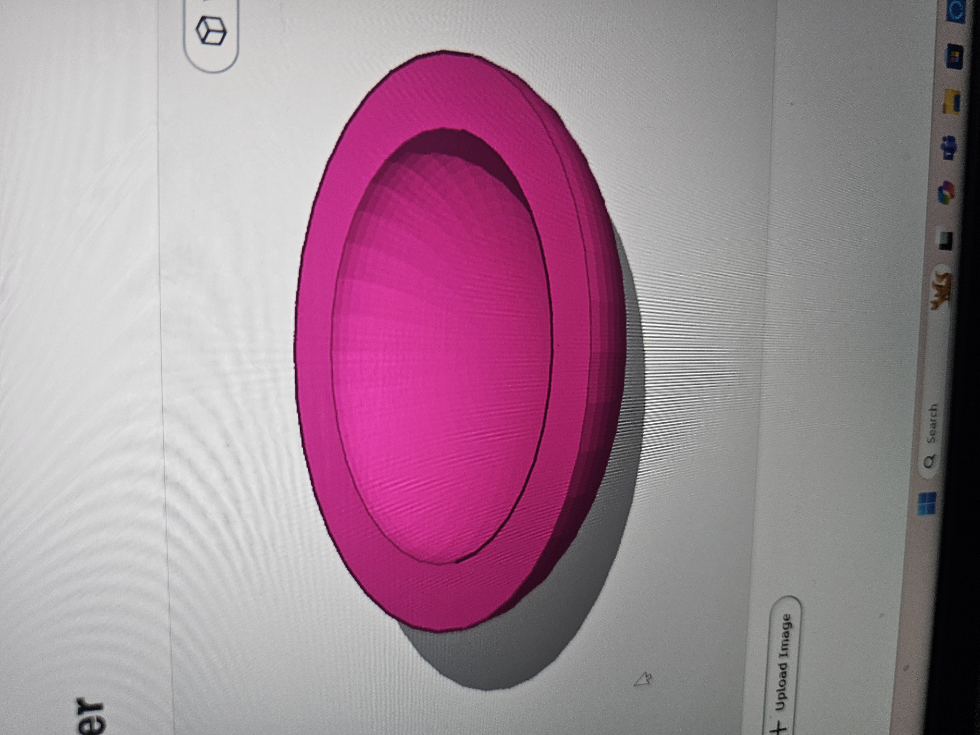 this is a fly feeder for pet flys or just a tny water bowl for another small animal