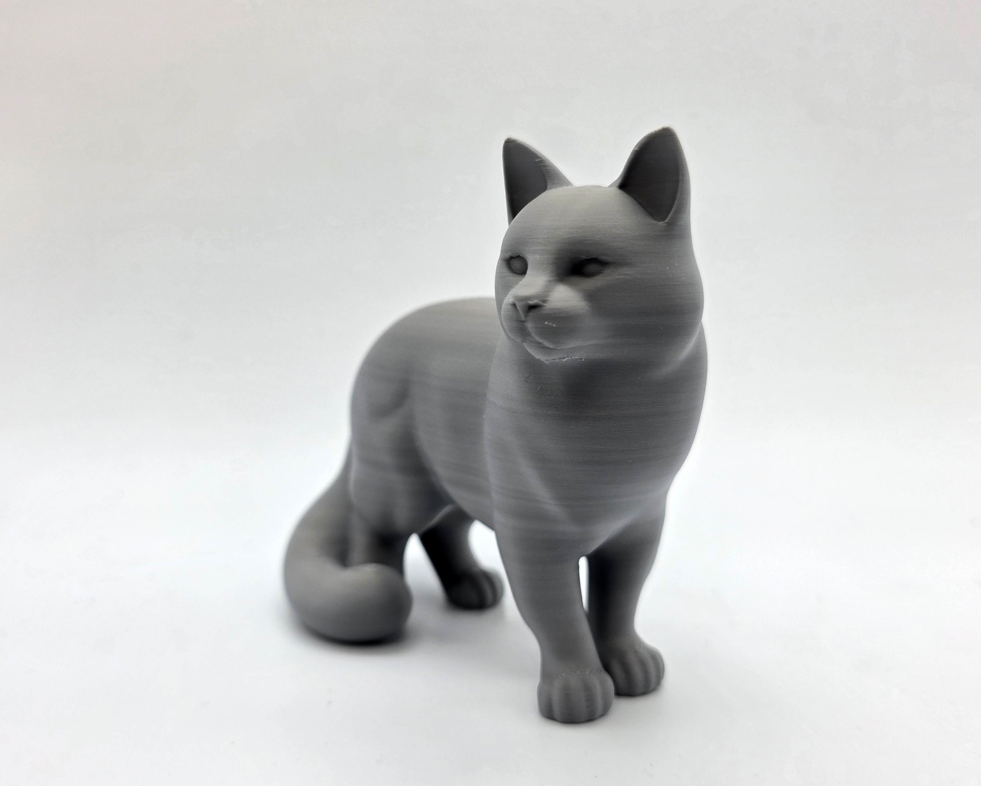 Standing Cat - Fluffy Tail — thumbnail 3
