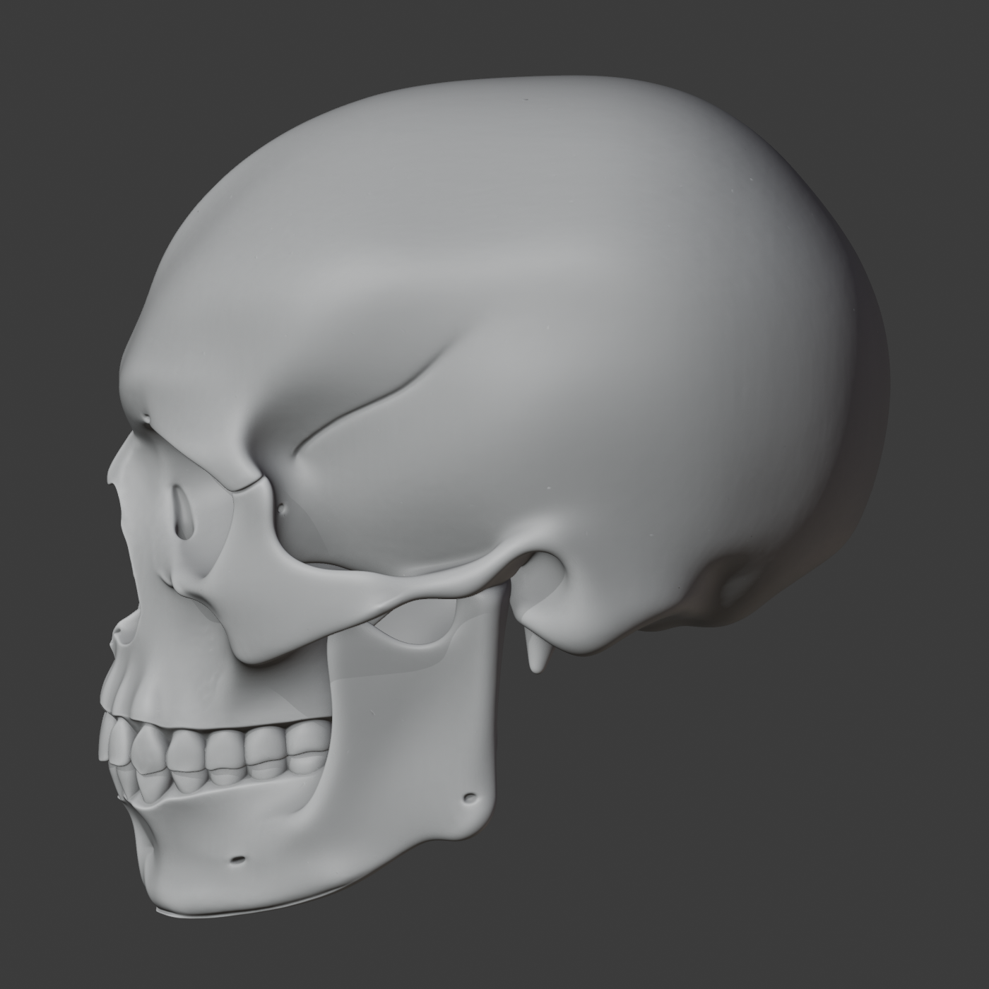 Human Skull