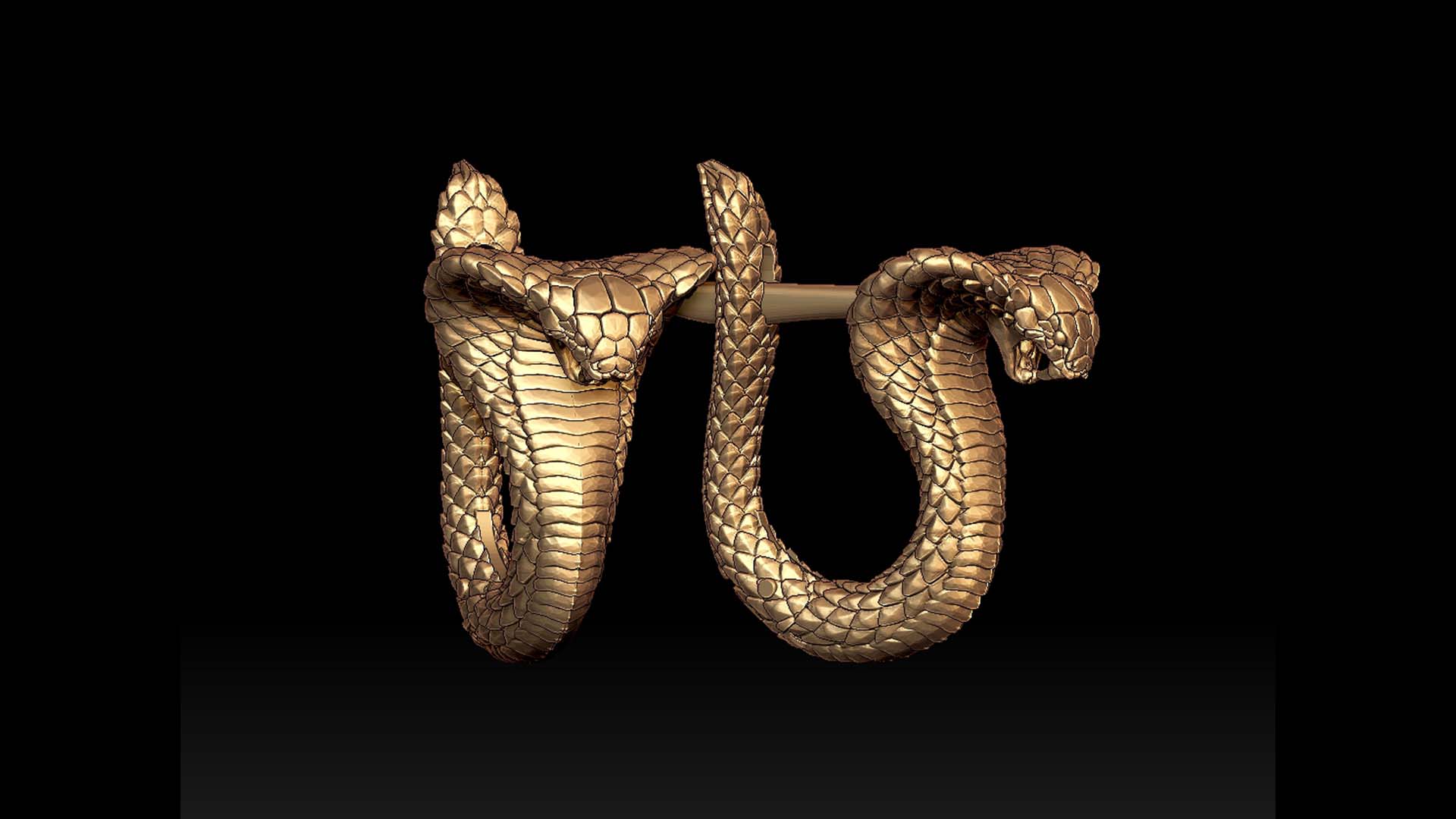 Earrings Cobra