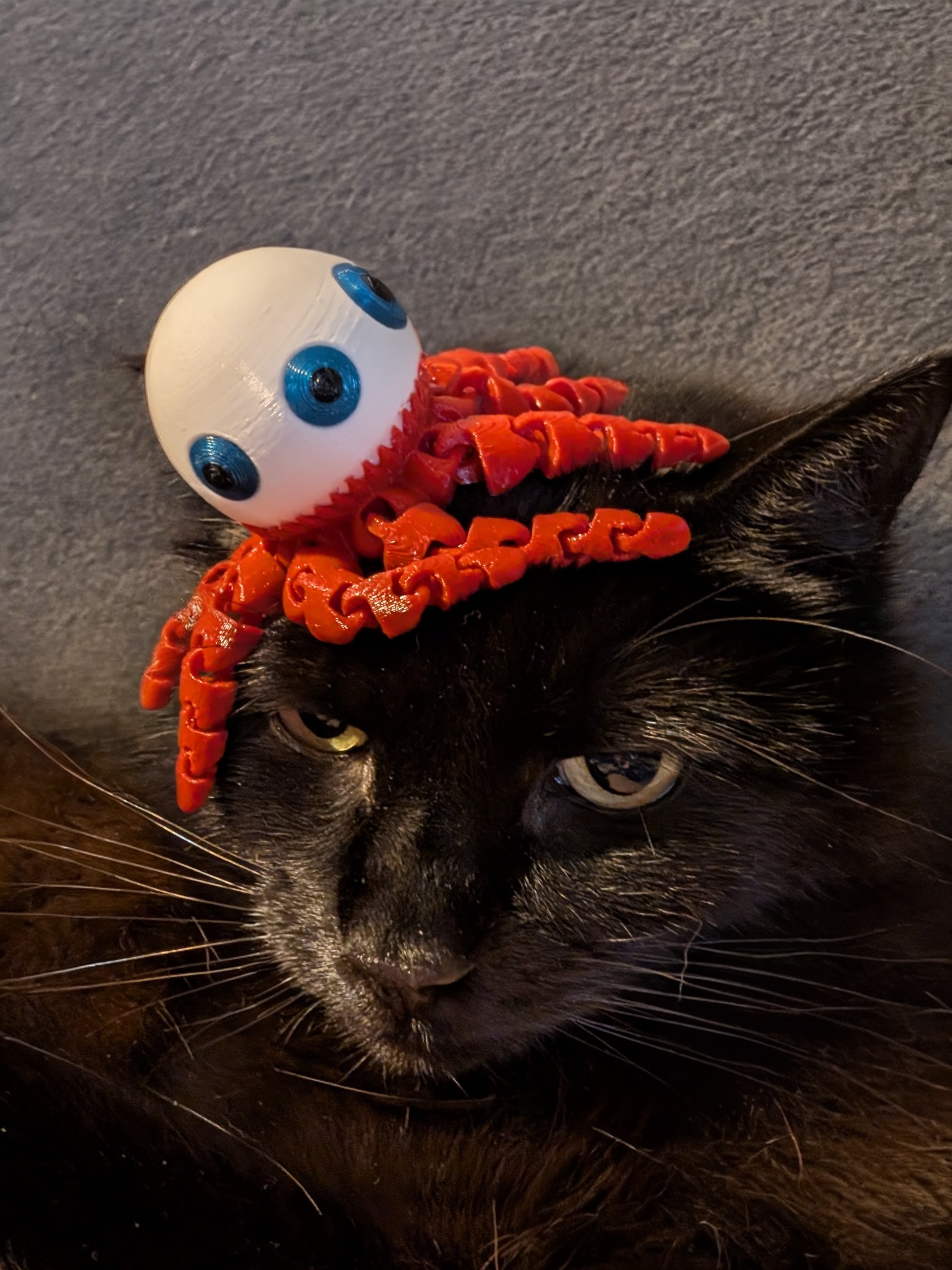Eyetopus
