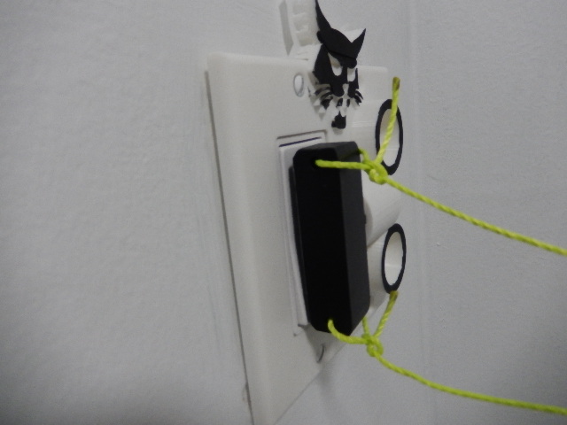 remote paddle switch cover (mechanical remote)