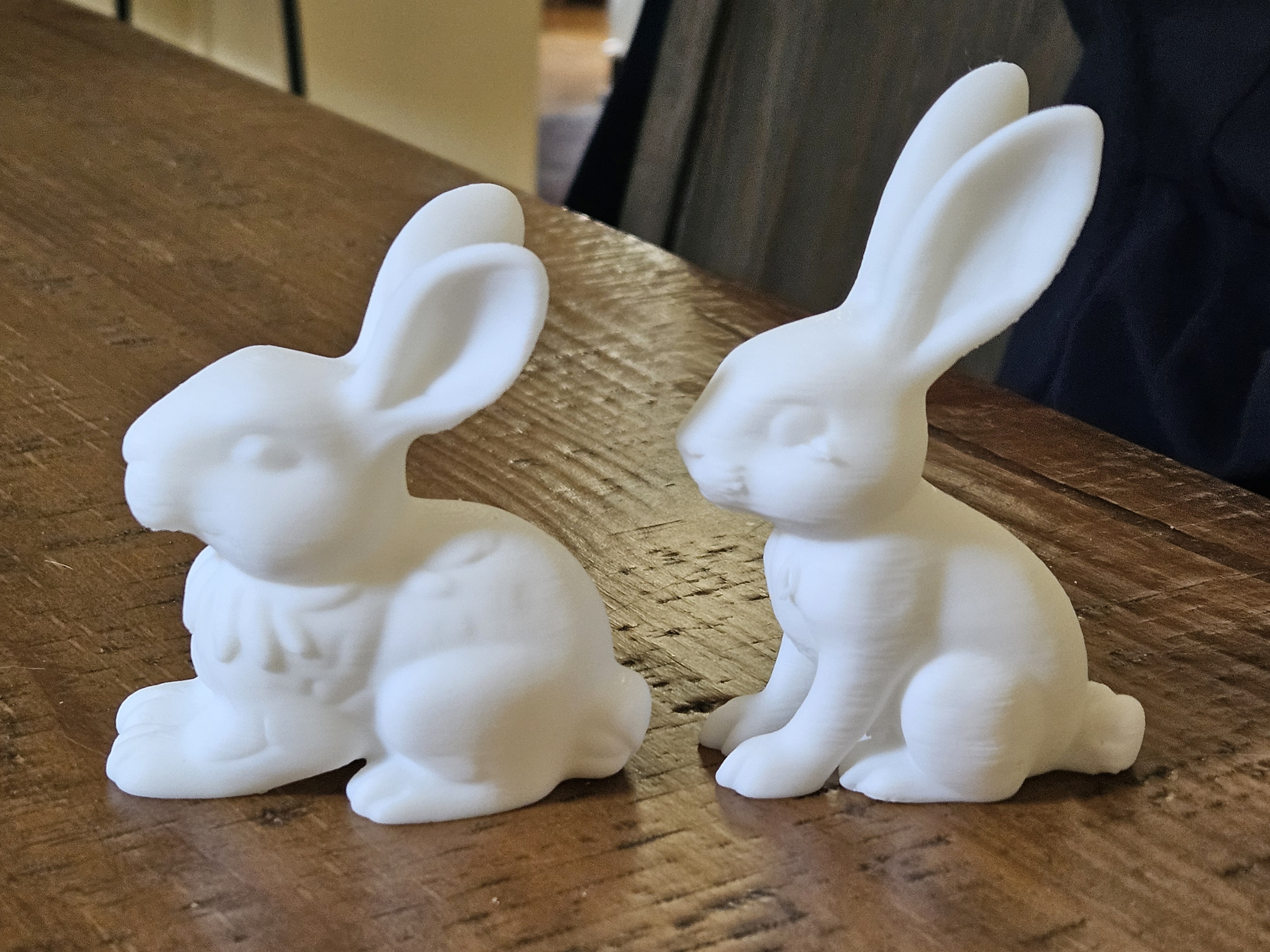 Garden Bunnies
