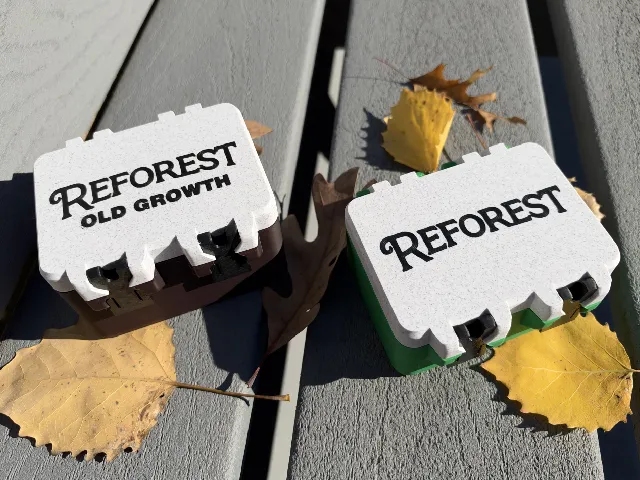 Refored and Reforest Old Growth