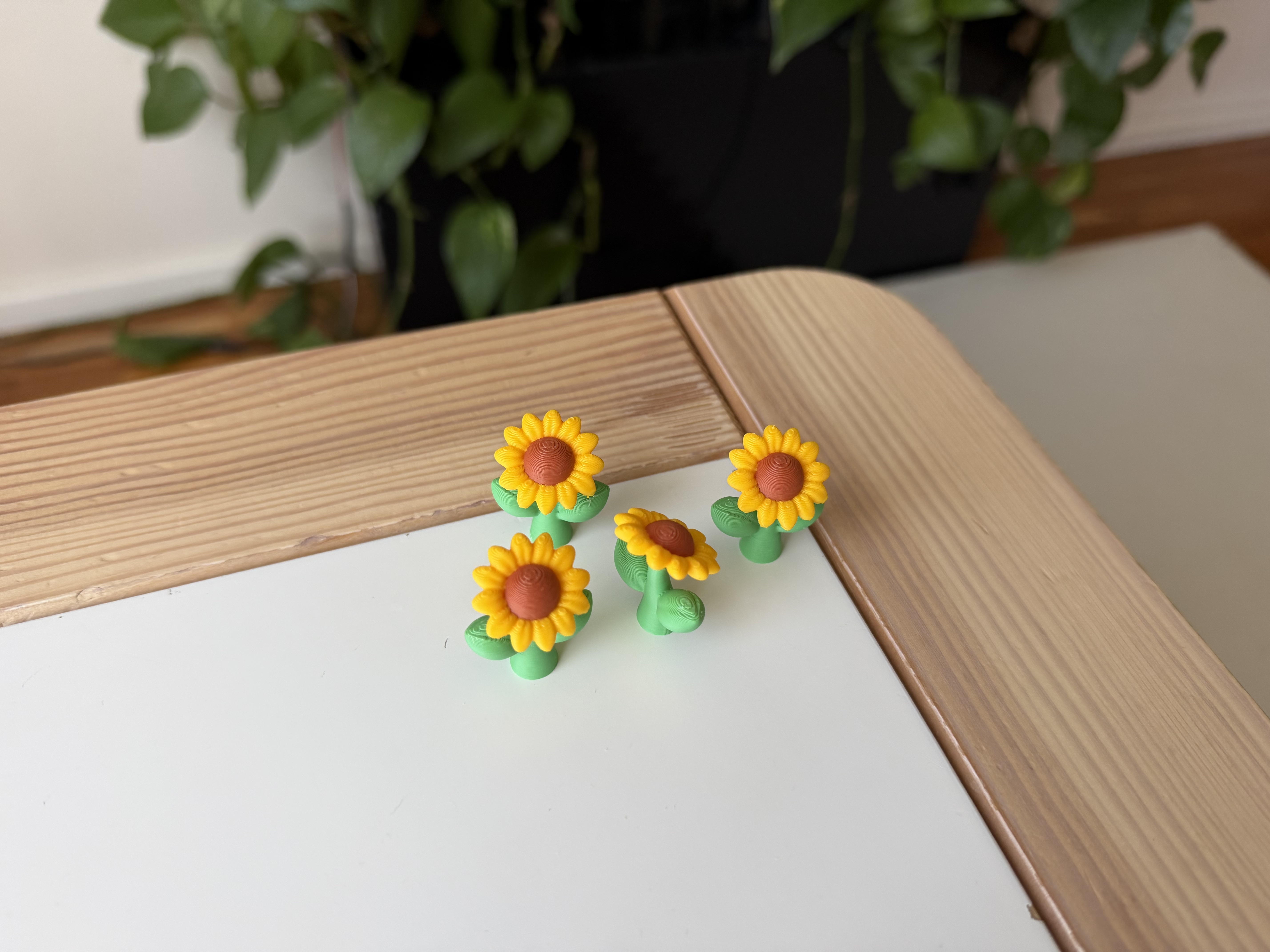 Sunflower — miniatura 3