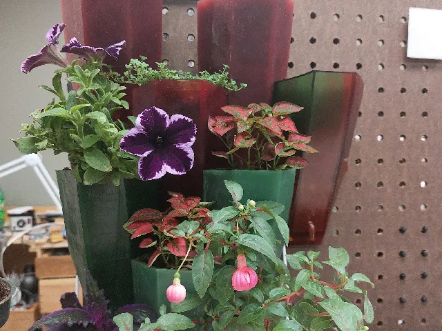 tessellating pegboard plant wall