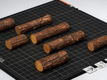Assorted Logs