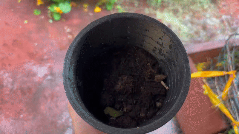 Mini Composter – For Home & Learning — thumbnail 8