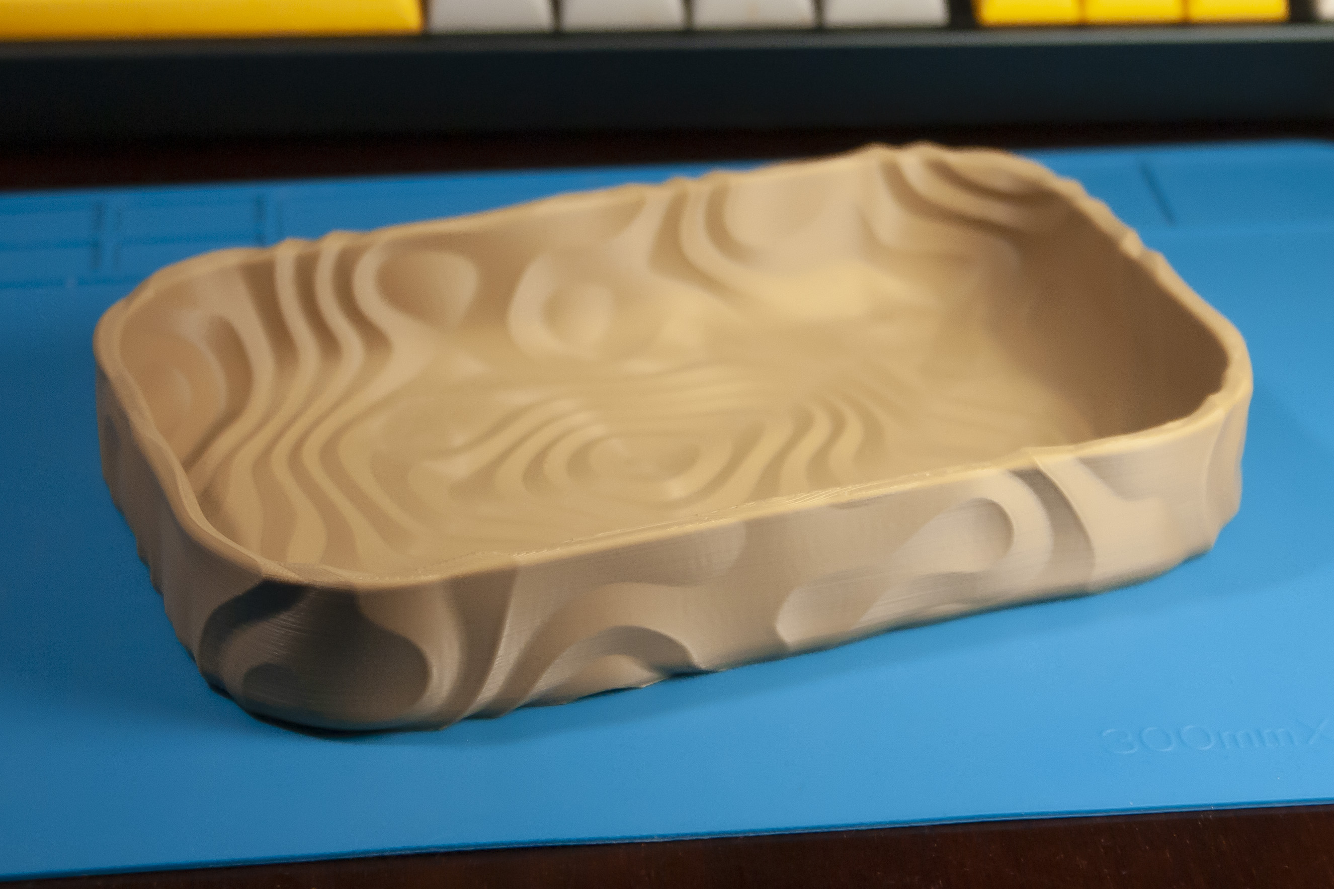 Ring pattern catch all tray