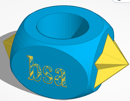 bsa woggle