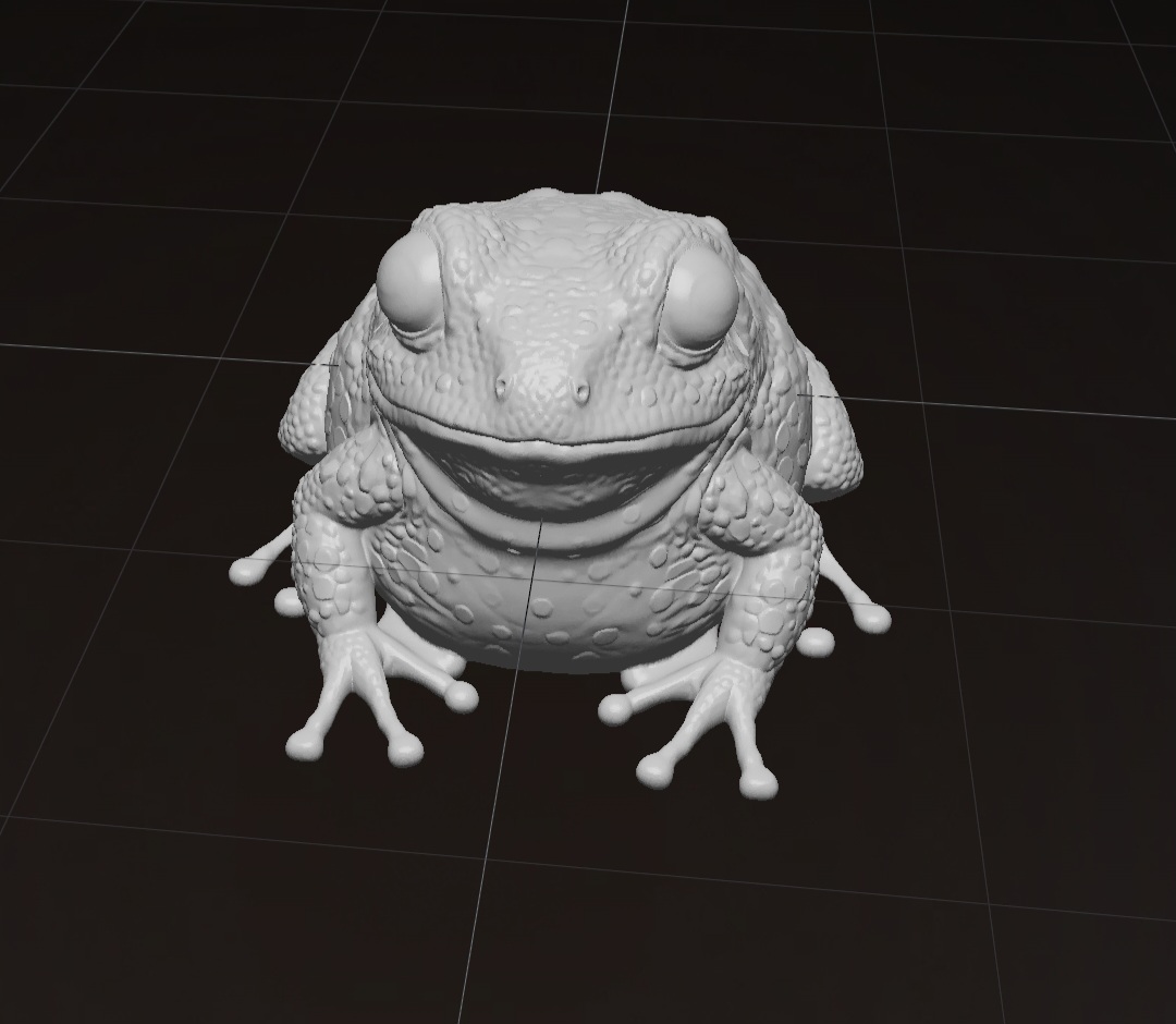 Cute frog