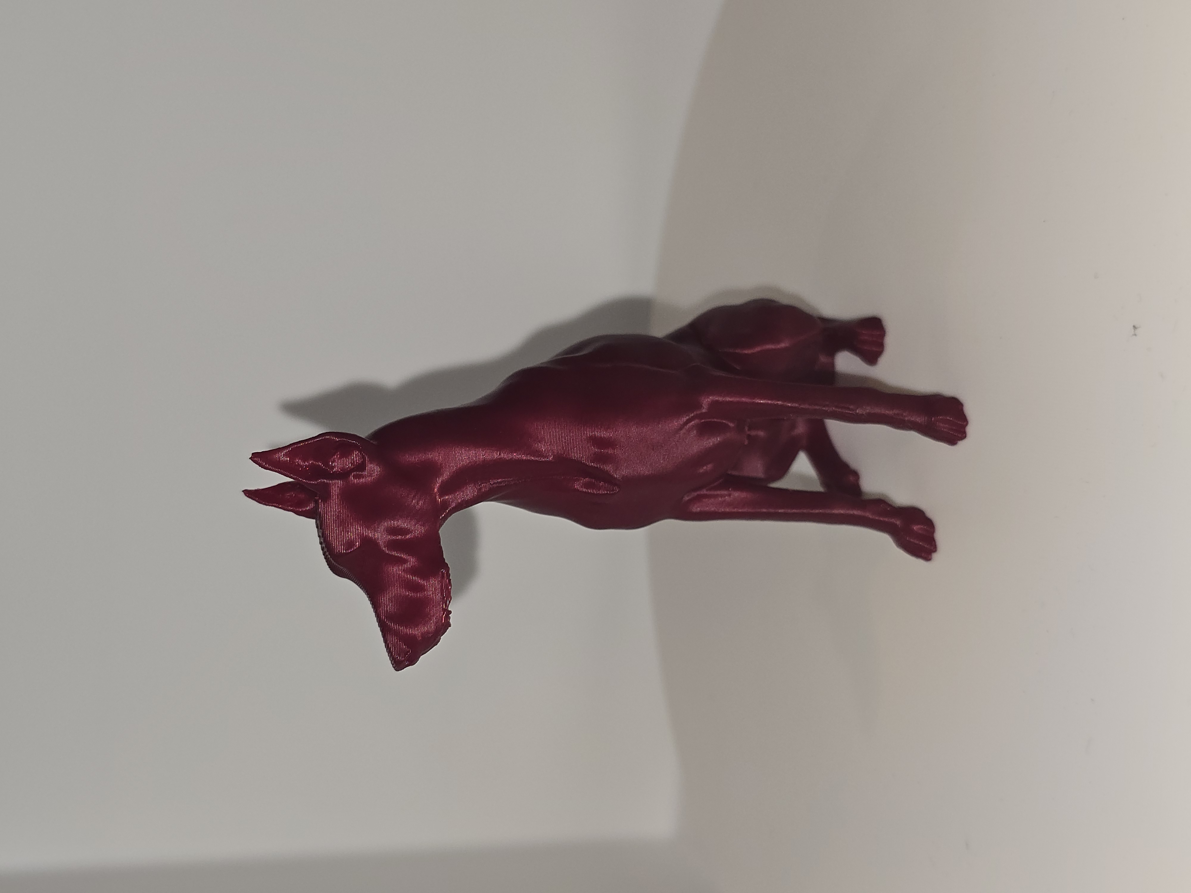Miniatura 5 do modelo 3D Doberman Pinscher