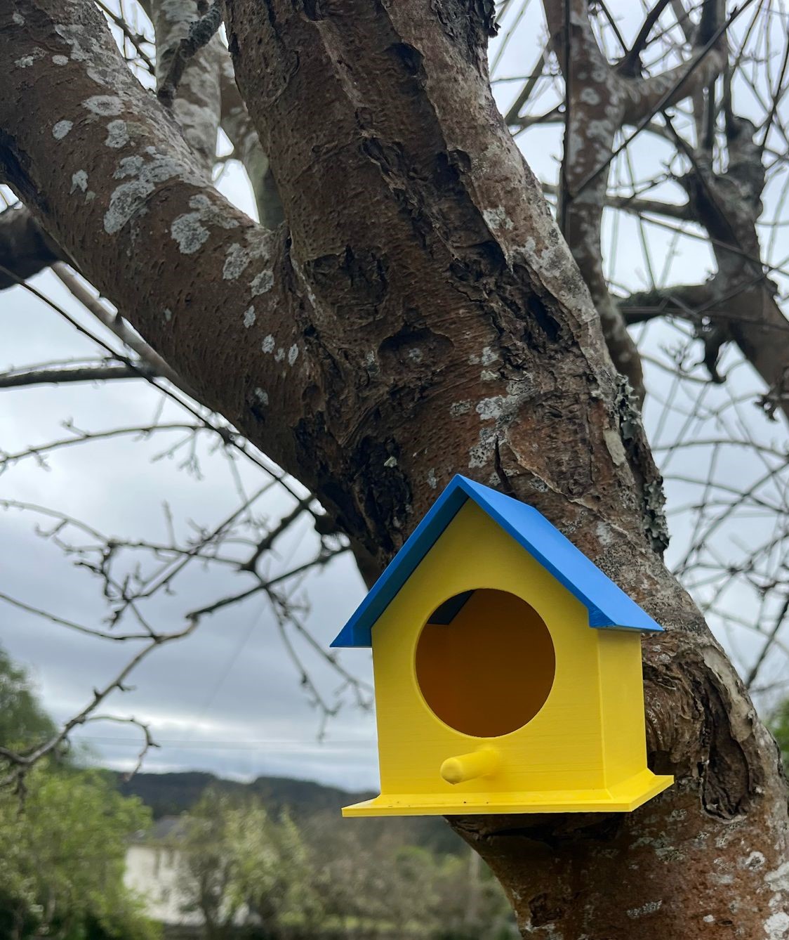 Bird house / Casa para pajaros