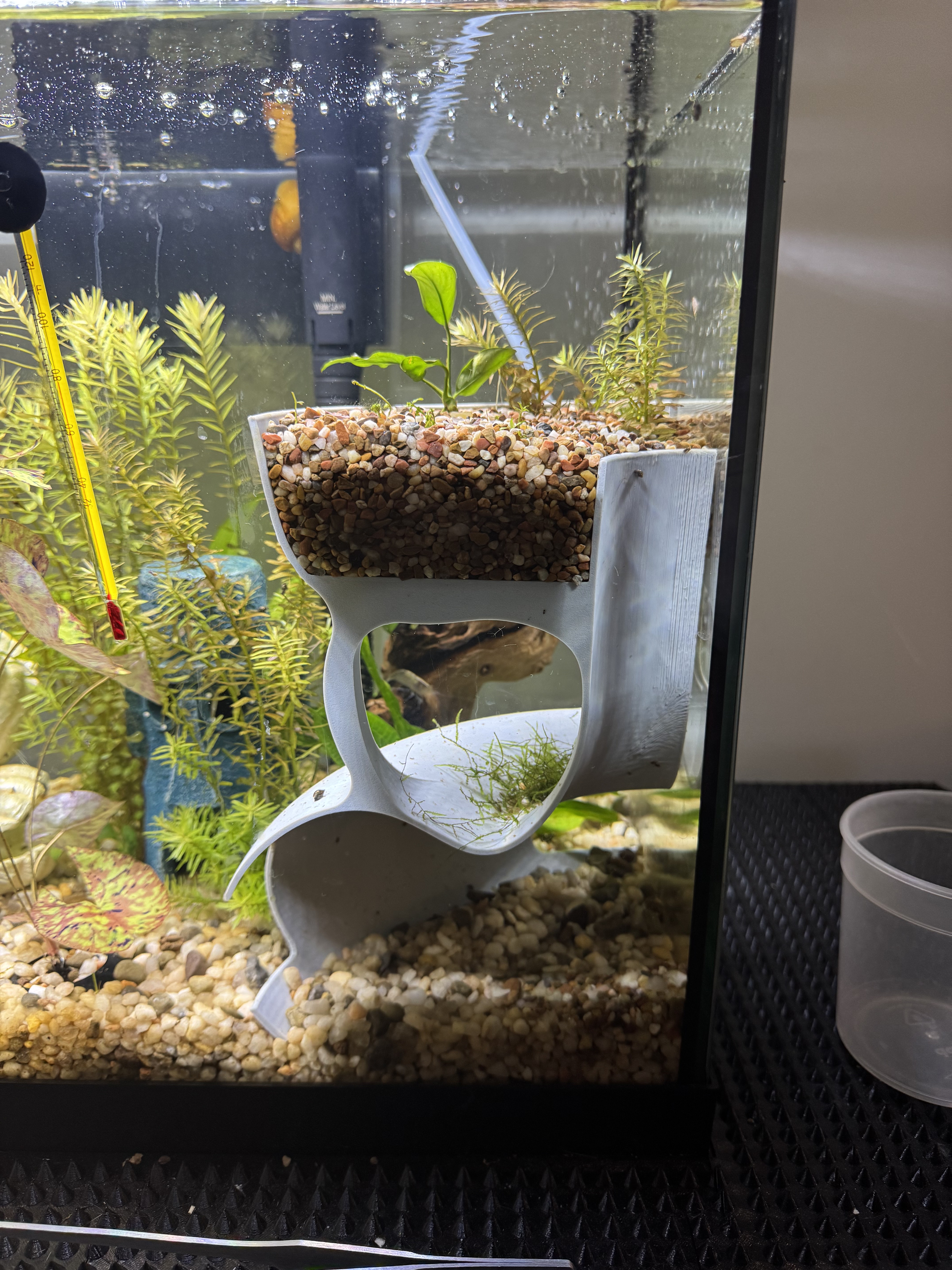 corner fish tank cave and garden.