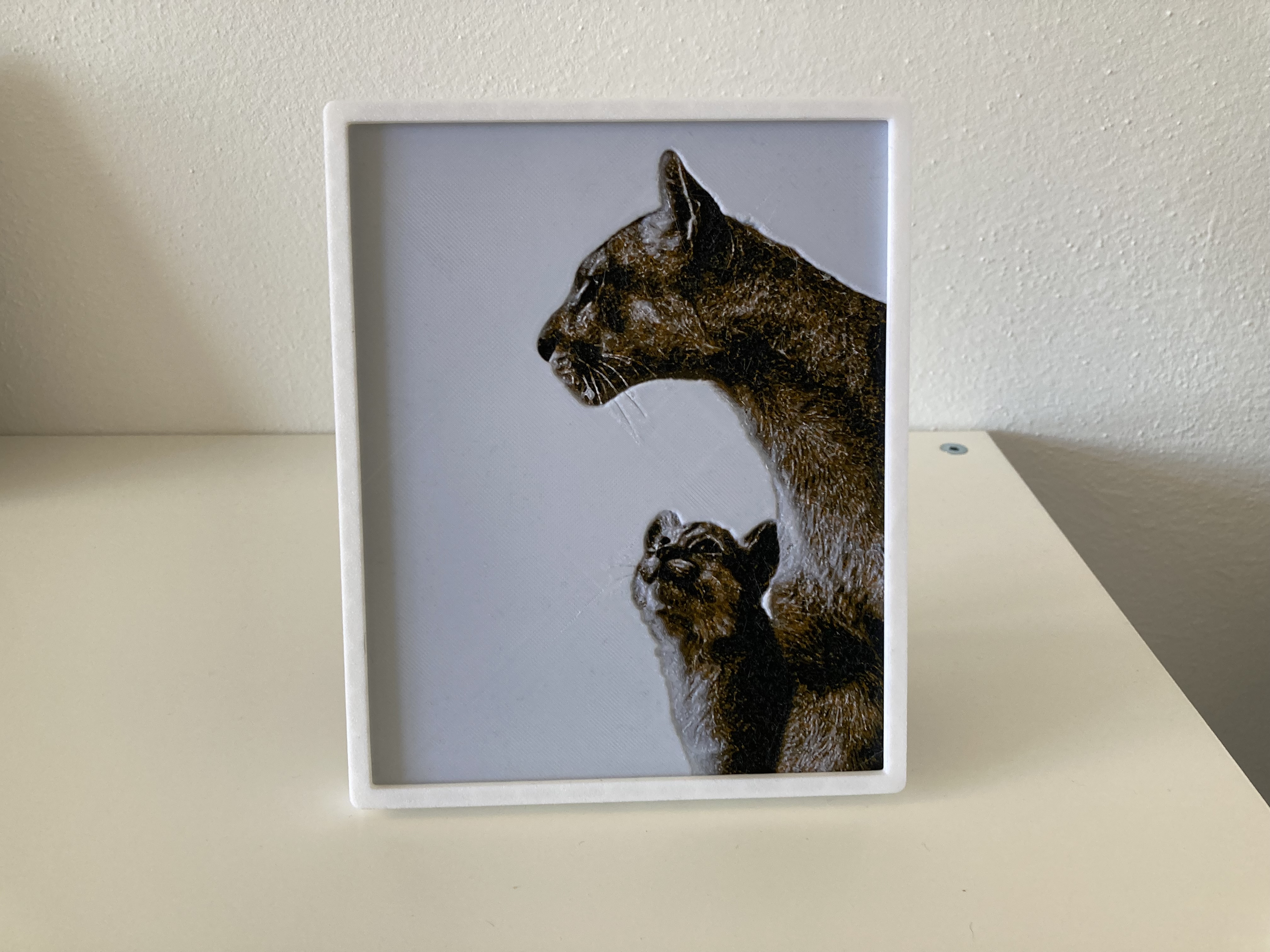 Lioness with cub picture - HueForge