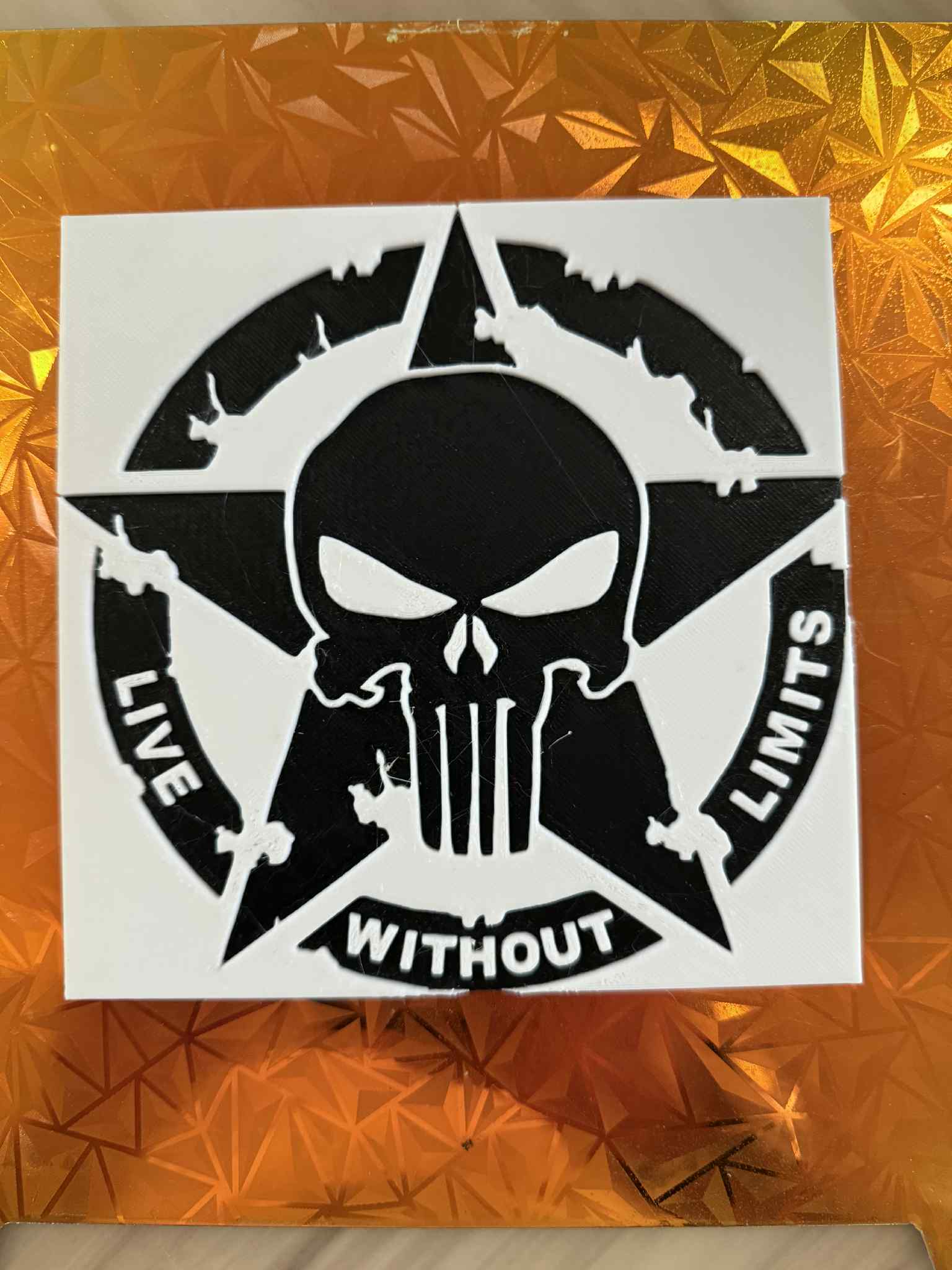 Punisher, live without limits