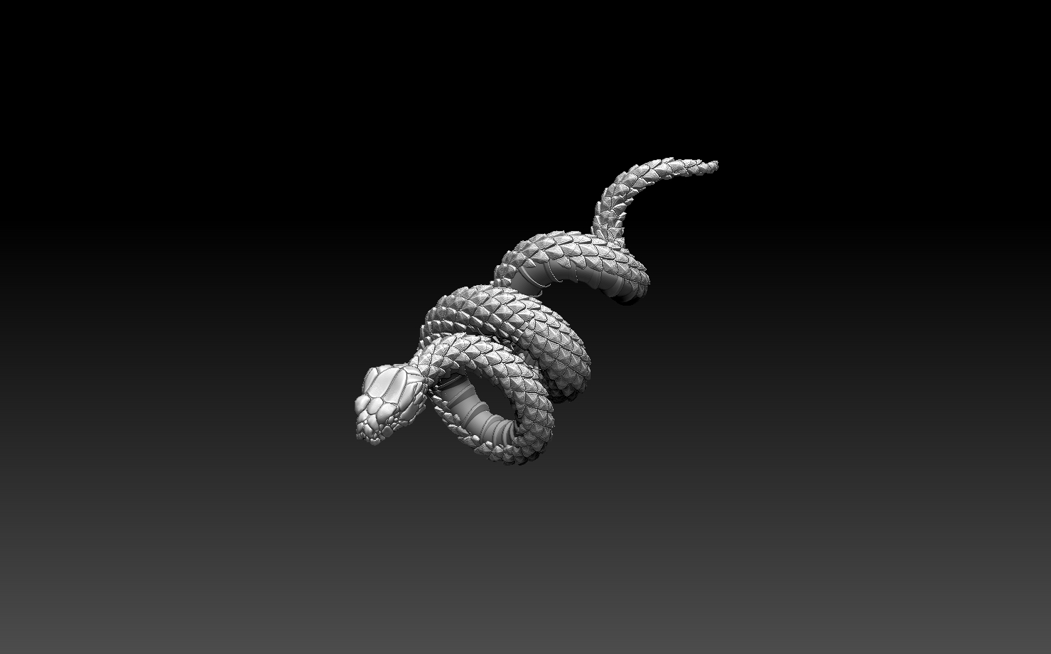 Snake — thumbnail 4