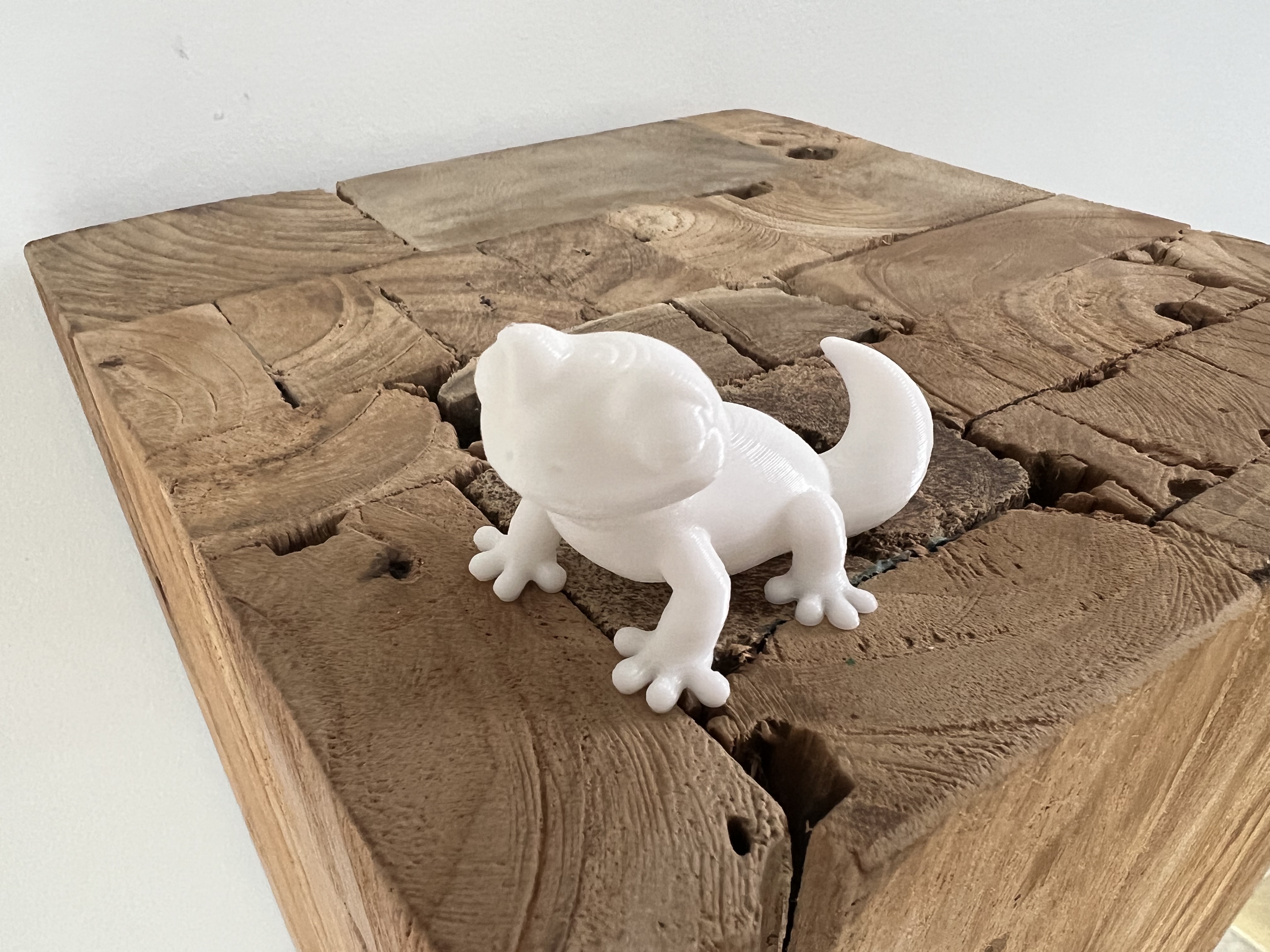 Miniatura 2 do modelo 3D Cute Gecko