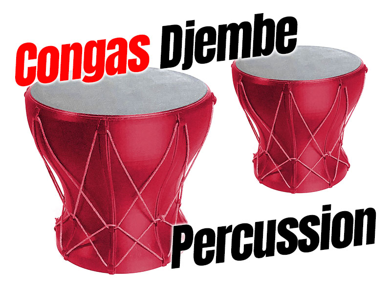 Congas Djembe Percussion
