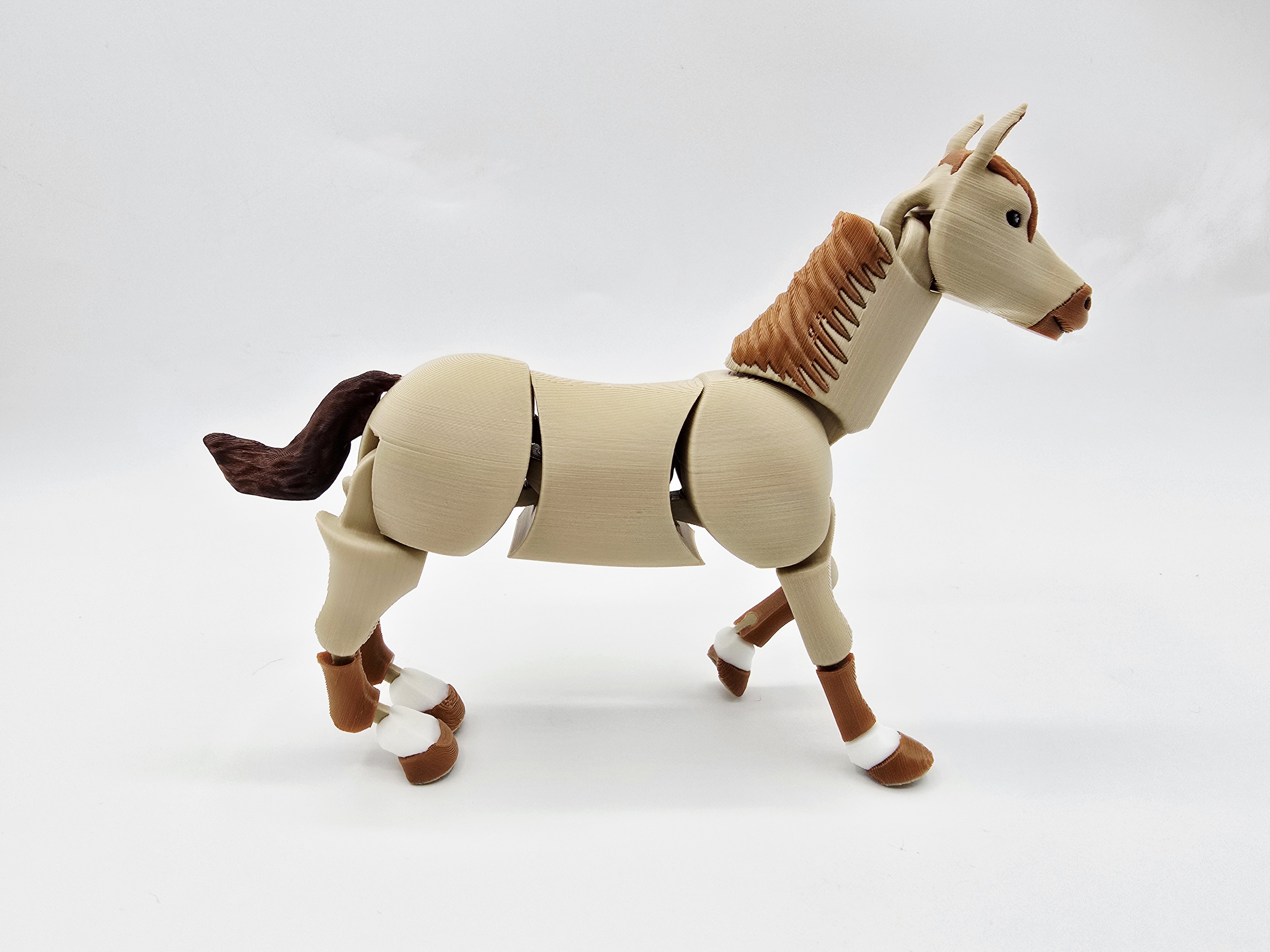 Flexi Horse January 2026 Exclusive