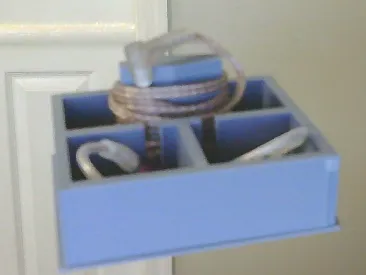 IEM holder