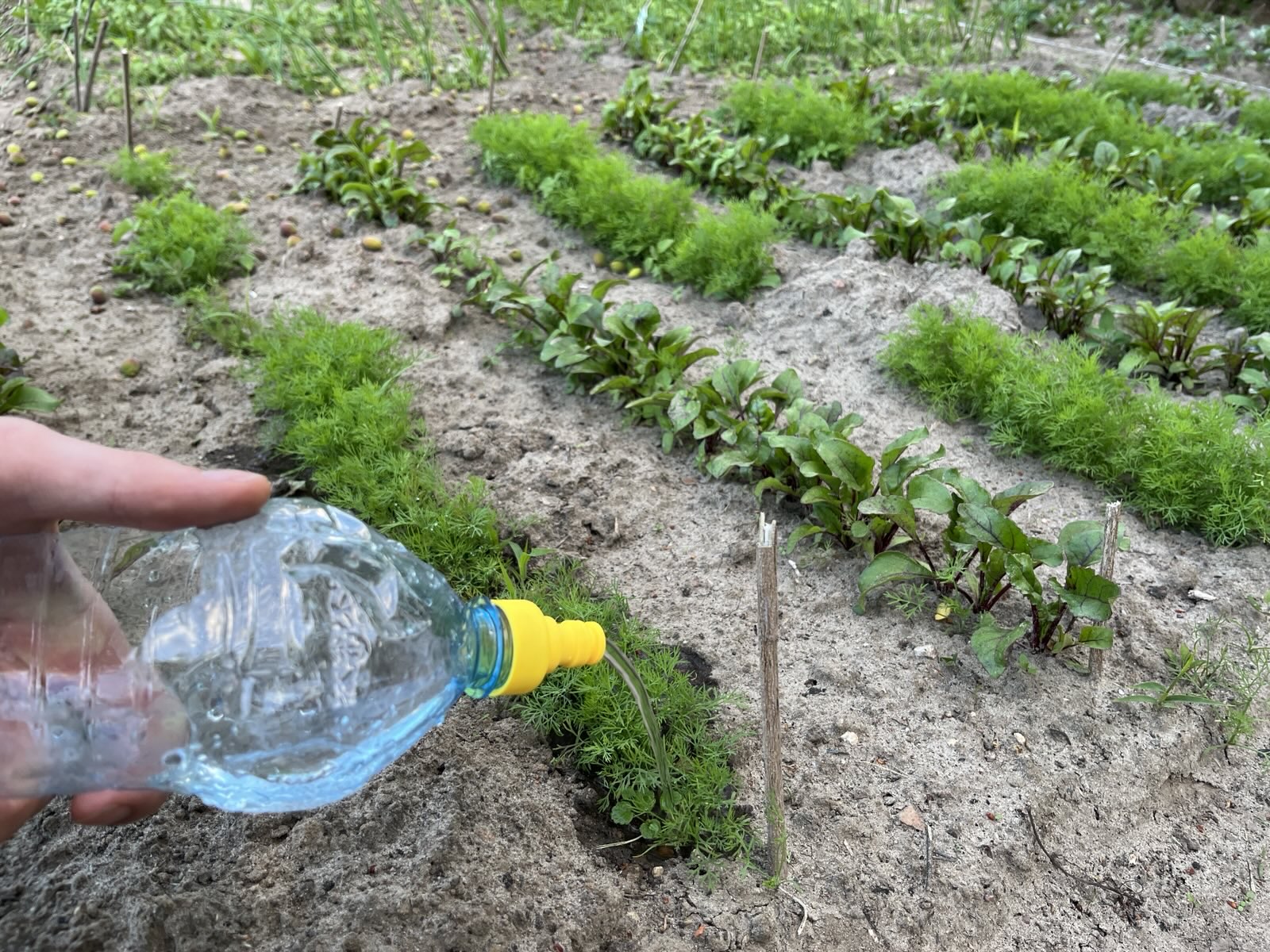 Multipurpose garden hose - PET bottle connector (anti-splash, lazy watering, water rocket, laminar flow...) — thumbnail 6